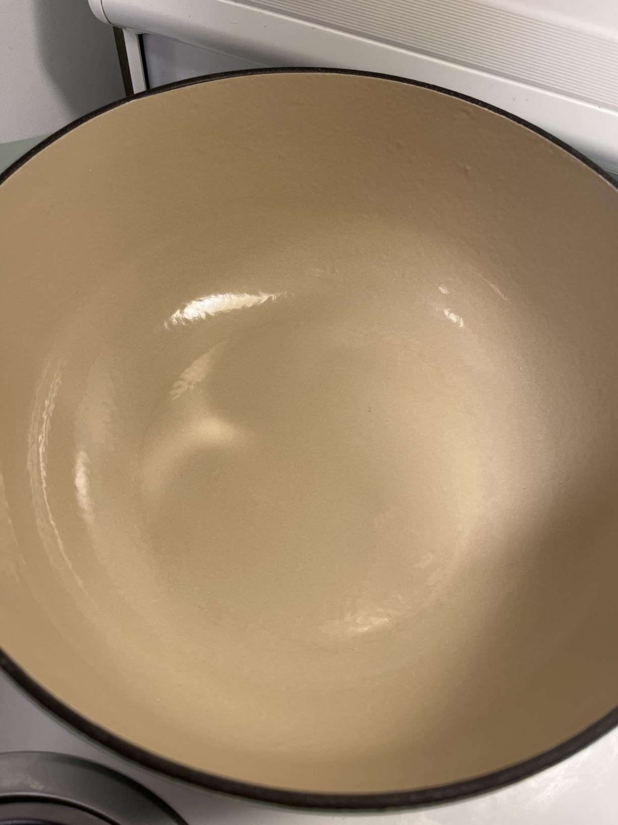 Lodge Essential Enamel Cast Iron Dutch Oven, 6 Quart, Oyster White customer photo 2