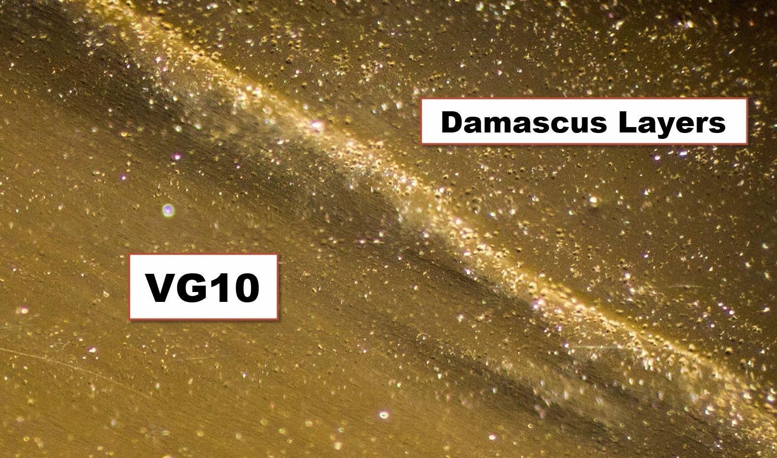 Dalstrong 8