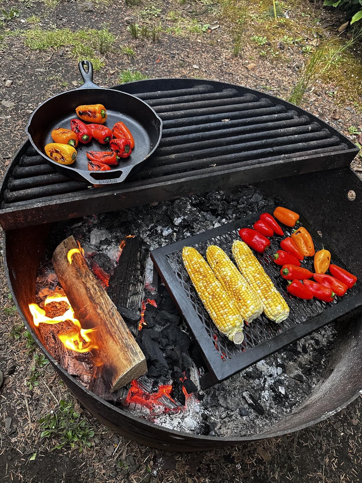 Amazon Basics Heavy-Duty Portable Camping Grill Grate for Outdoor Open Flame Cooking, Foldable, Sturdy, 15.9