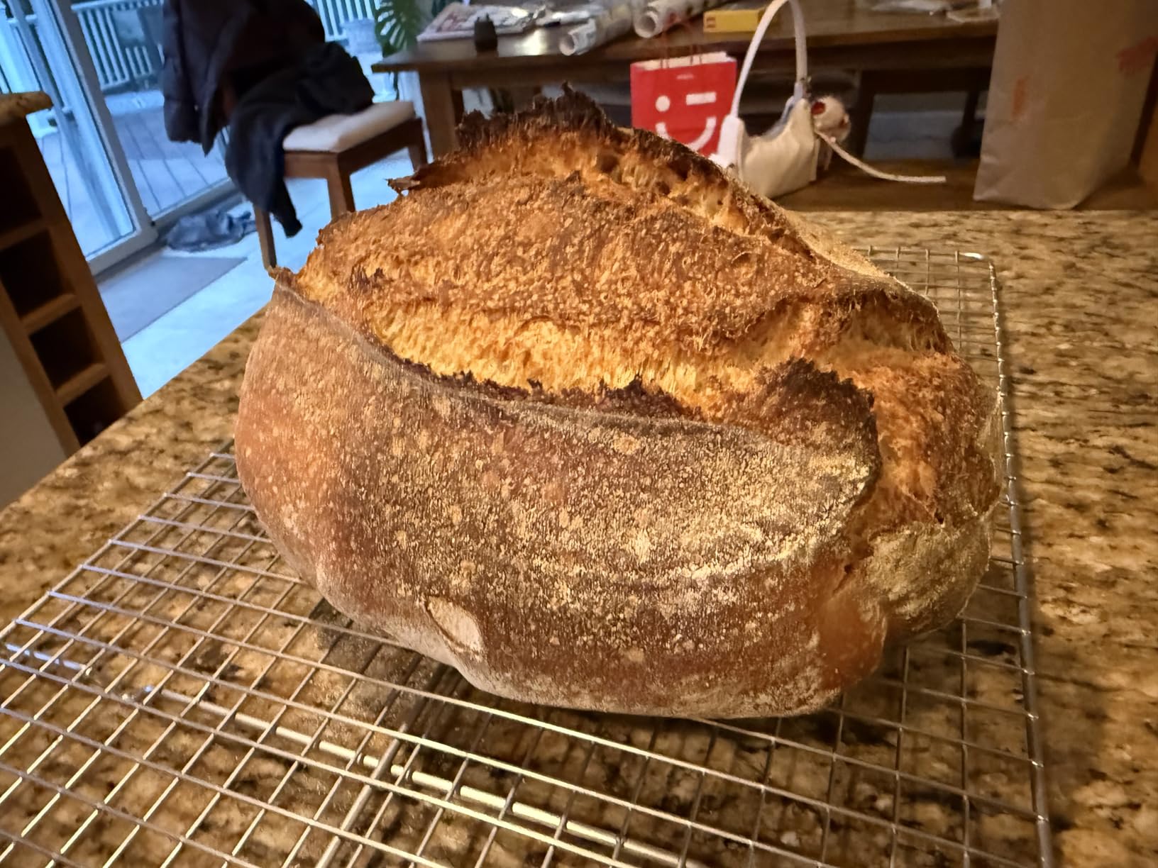 Baker of Seville Bread Lame | Sourdough Scoring Tool, 6 Blades | Stainless curved blade scores sourdough & artisan loaves cleanly. Includes 6 replacement blades for baguettes & batards. customer photo 1