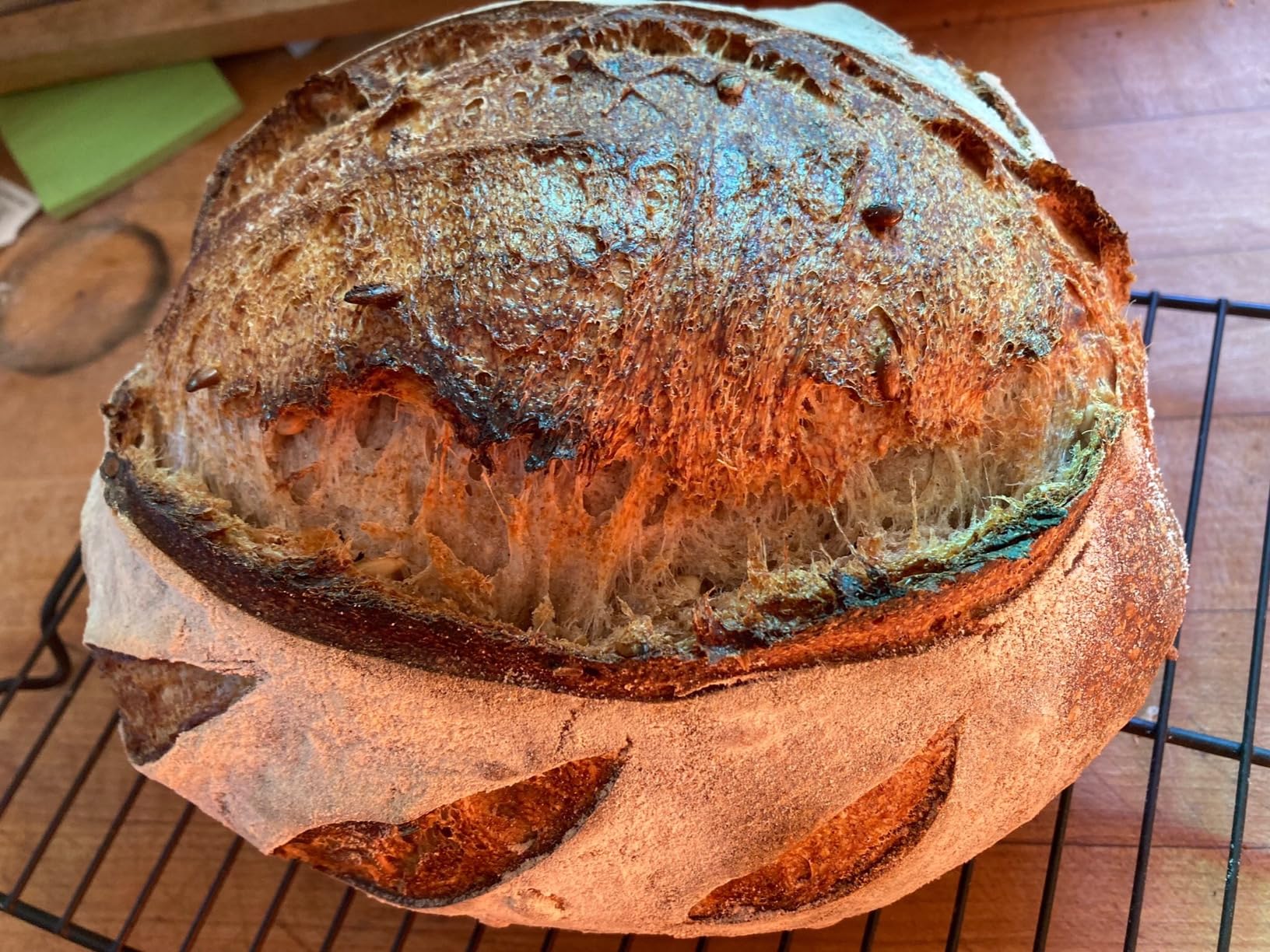 Baker of Seville Bread Lame | Sourdough Scoring Tool, 6 Blades | Stainless curved blade scores sourdough & artisan loaves cleanly. Includes 6 replacement blades for baguettes & batards. customer photo 2