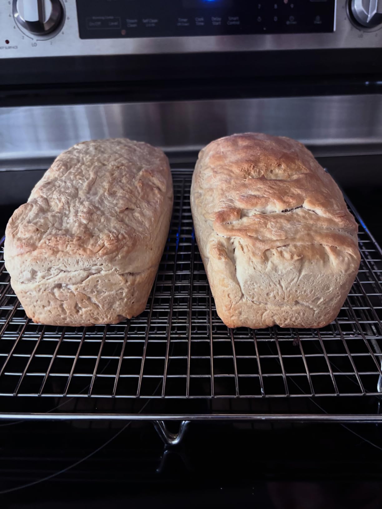 SILIVO Silicone Bread and Loaf Pans (2 Pack) - Nonstick Silicone Baking Mold for Homemade Loaf, Bread and Meatloaf customer photo 1