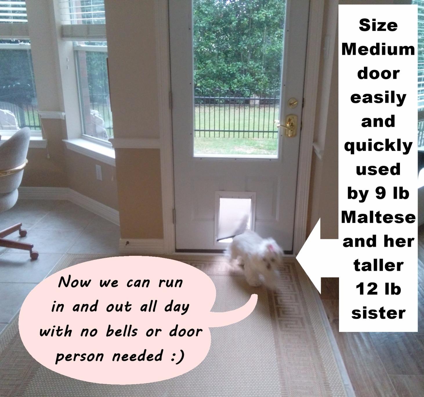 PetSafe Freedom Aluminum Pet Door Medium, White customer photo 1