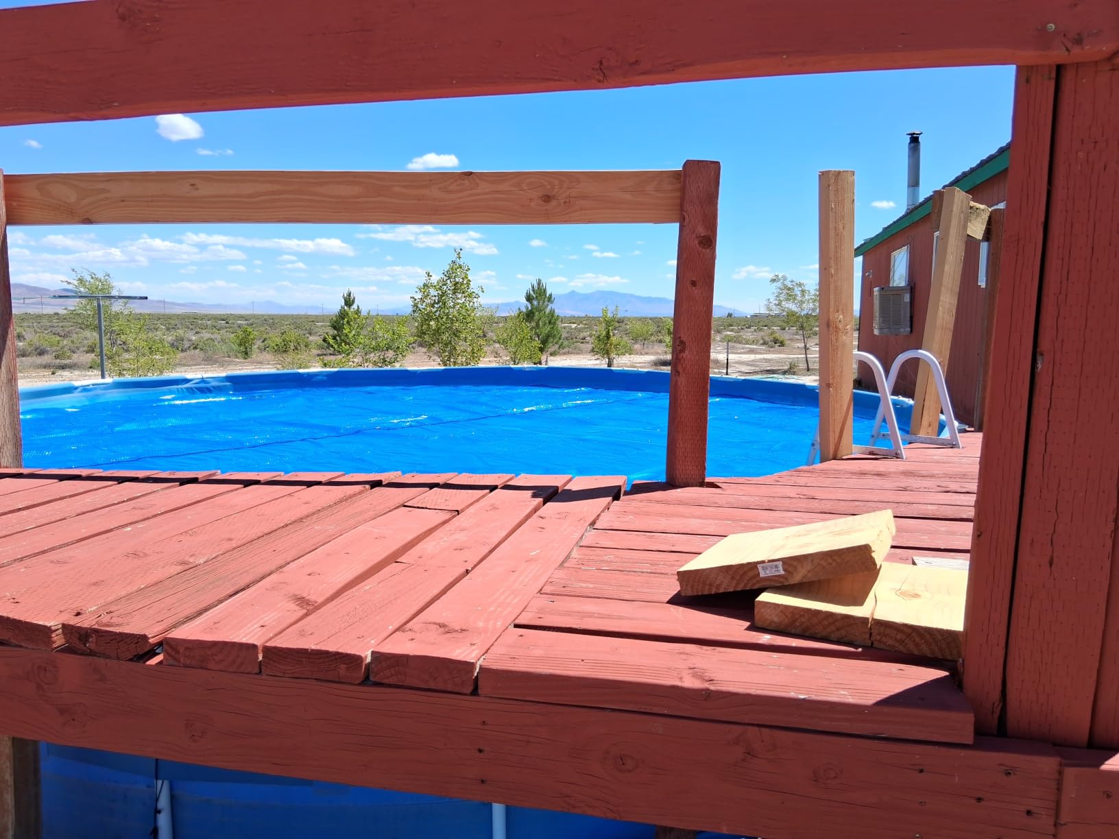 INTEX 28015E Solar Pool Cover: for 18ft Round Easy Set and Metal Frame Pools - Insulates Pool Water - Reduces Water Evaporation - Keeps Debris Out - Reduces Chemical Consumption customer photo 2