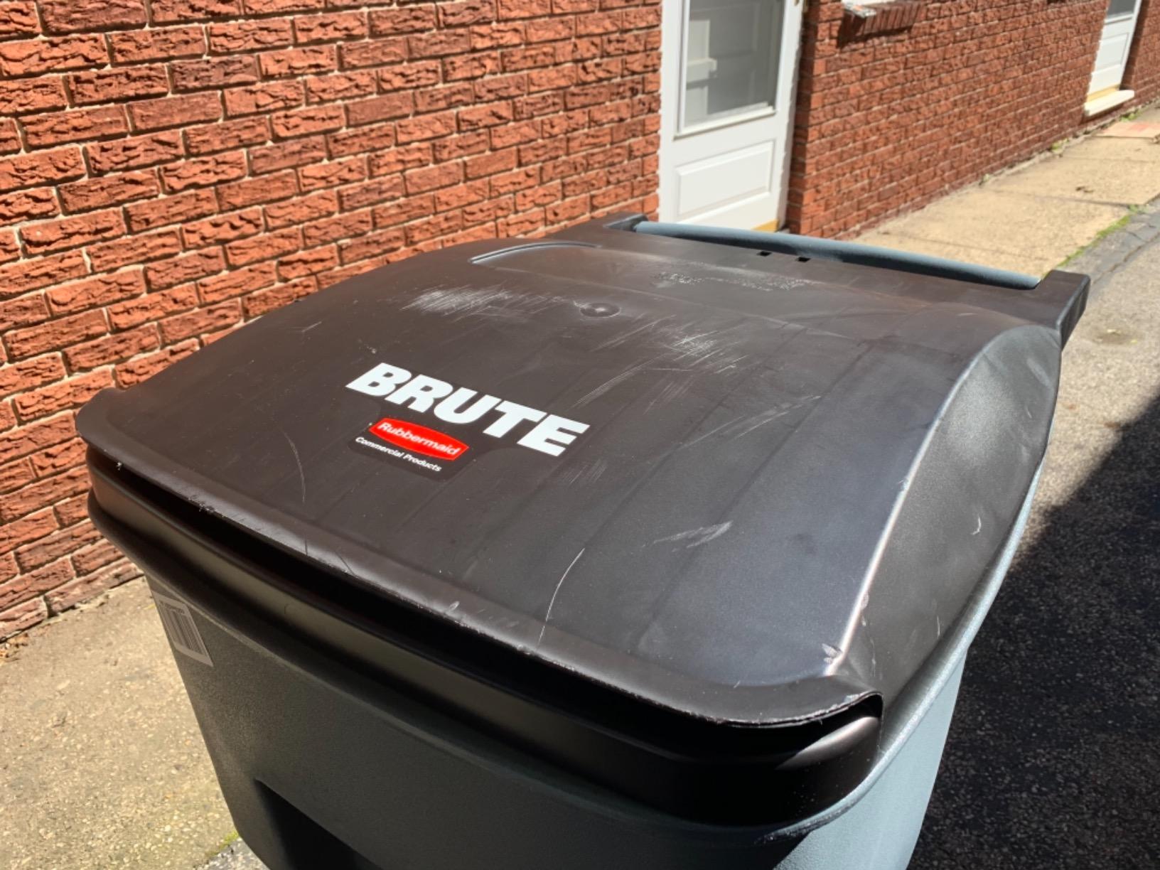 Rubbermaid Commercial Products BRUTE Rollout Plastic Trash/Garbage Can/Bin with Wheels 65 Gal for Restaurants/Hospitals/Offices/Back of House/Warehouses/Home customer photo 1