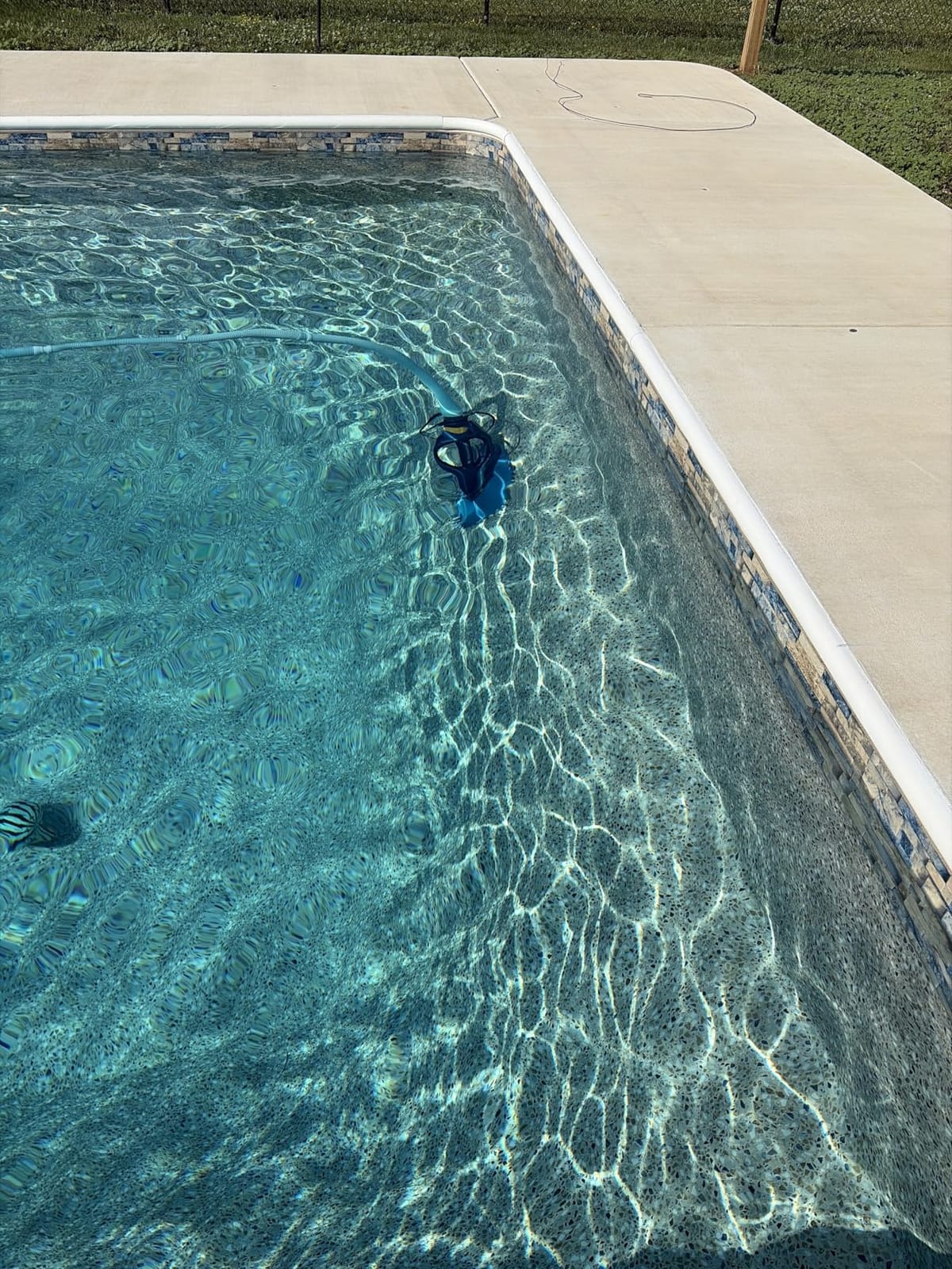 Zodiac G3 Suction-Side Inground Vacuum Pool Cleaner | Suction Cleaner for In-Ground Floors, Walls & Steps; One Moving Part, 36-Fin Disc Grip & 39ft Hose, Connects to Skimmer customer photo 2