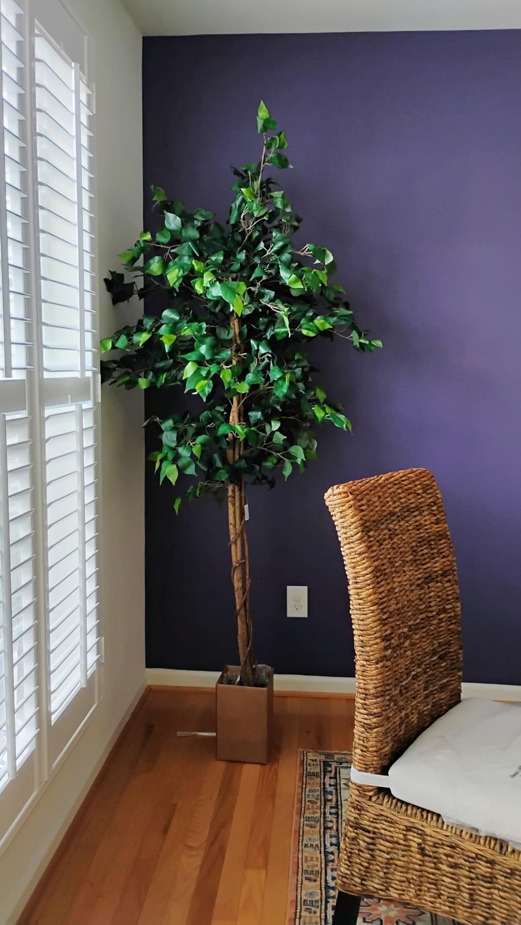 Nearly Natural 6ft Triple Trunk Artificial Ficus Tree with Natural Wood Trunks customer photo 1