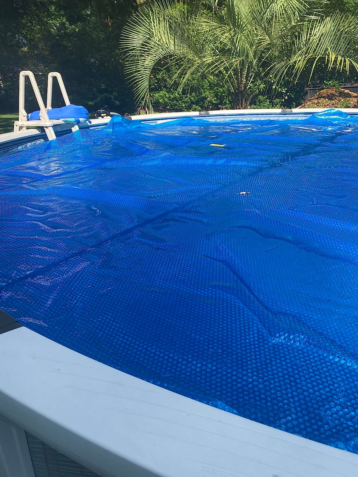 Sun2Solar Blue 24 ft Round Pool Solar Cover | 12 Mil | Heat Retaining | Thermal Blanket for Inground & Above Ground Swimming Pools | Sun's Energy Heats Pool | Bubble Heating Blankets | 1200 Series customer photo 1