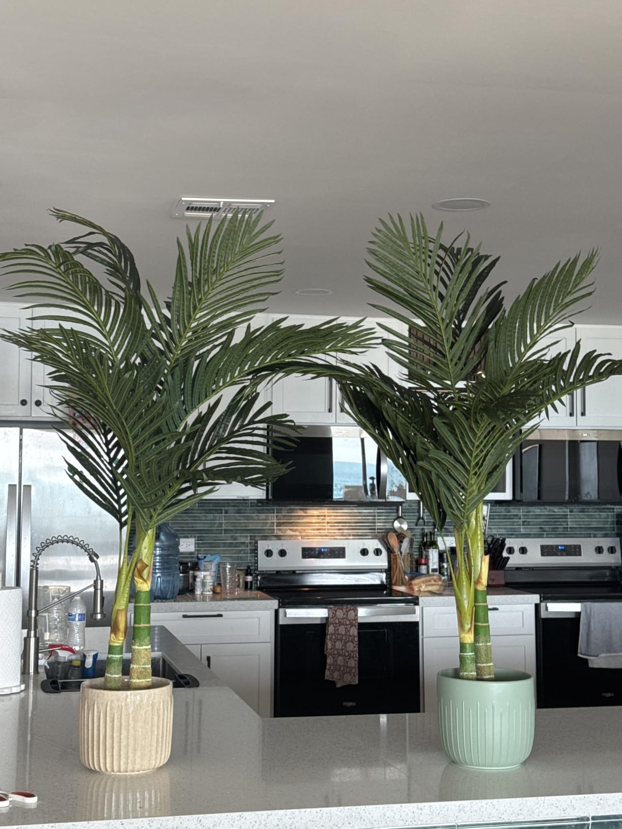 Nearly Natural 4 ft Artificial Golden Cane Palm Tree with Nursery Pot | Double-Stalk, Lush Realistic Foliage, Indoor Faux Palm Plant, Living Room Decor, Perfect Tropical Decoration customer photo 2