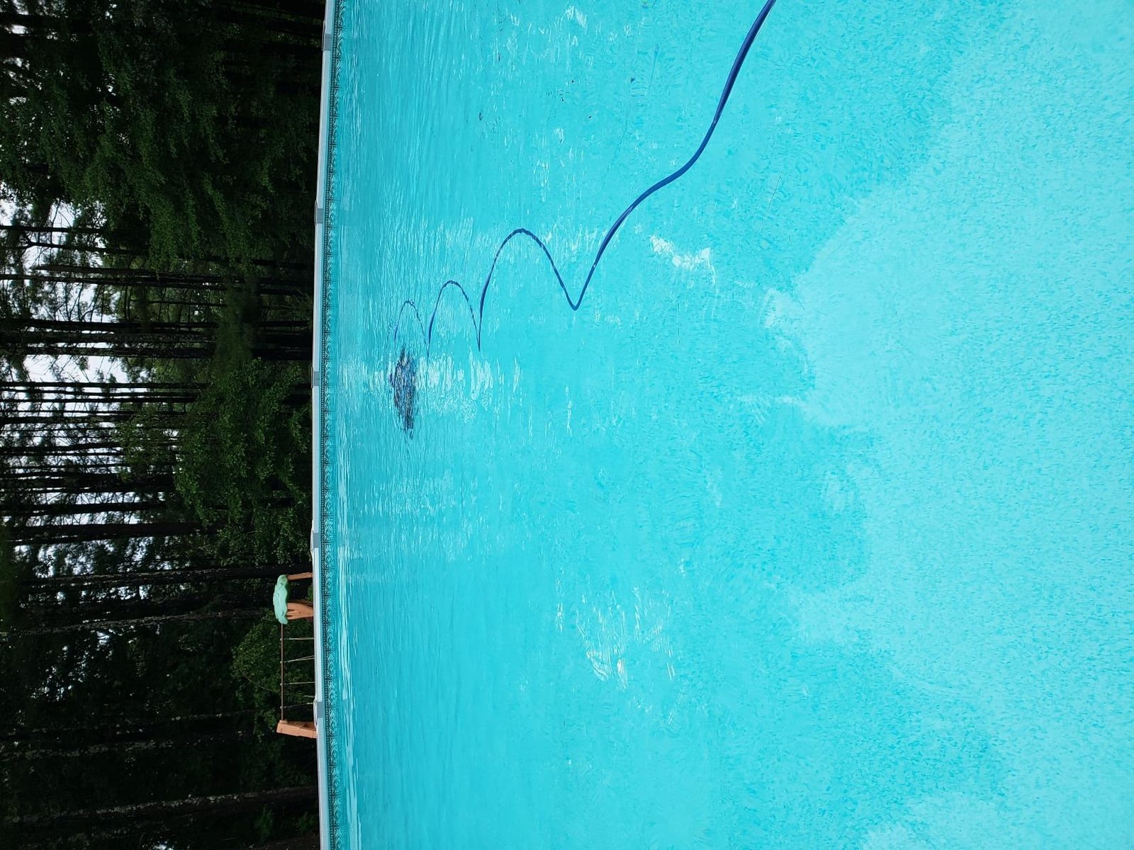 Escape Robotic Pool Cleaner (2026 Model) - Massive Top-Loading Filter, Dual Motors, HyperBrush, HyperGrip Tracks, Smart Navigation - for Above Ground & In-Ground Pools up to 33ft customer photo 1