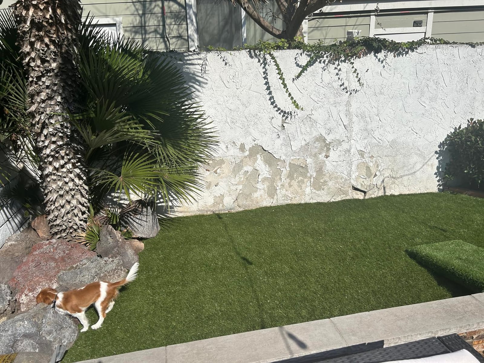 ALTRUISTIC Premium Artificial Grass Drainage Holes & Rubber Backing customer photo 1