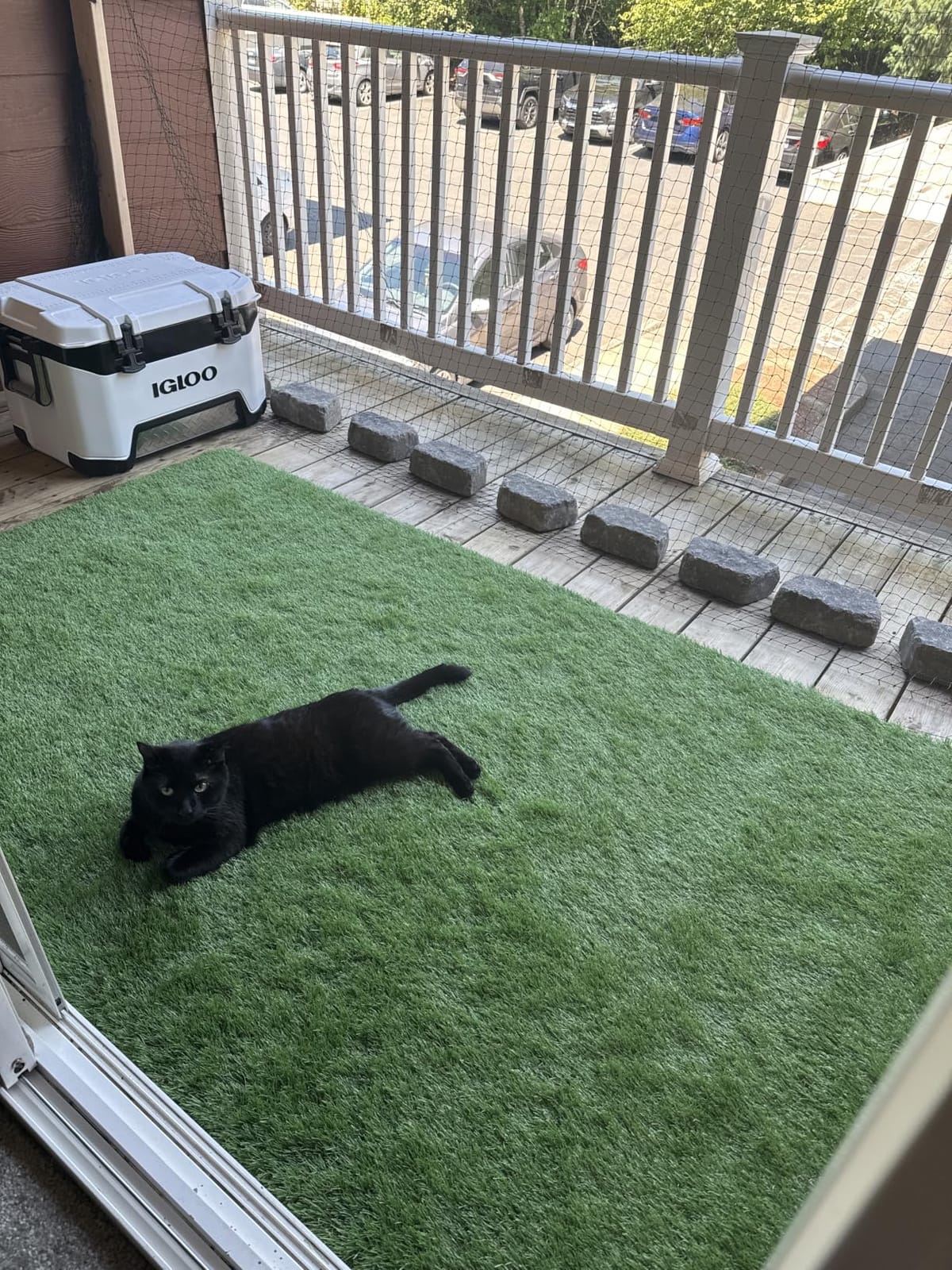 SunVilla SV7'X13' Realistic Indoor/Outdoor Artificial Grass/Turf 7 FT X 13 FT (91 Square FT) customer photo 2