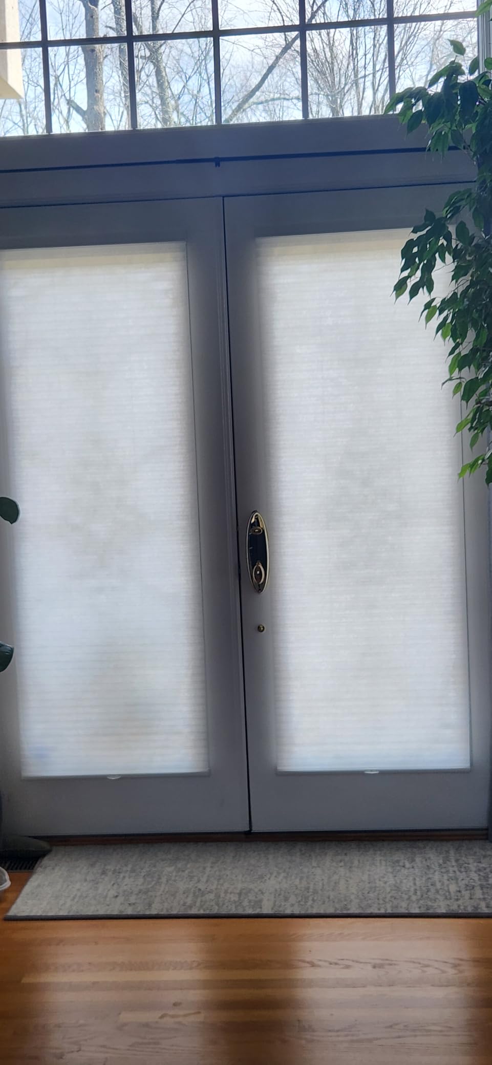 CHICOLOGY Cordless Cellular Shades, Room Darkening, Mist, 30x48 | R-3 Insulated, Room Darkening, Water Resistant, Cordless Child Safe, True to Size customer photo 2