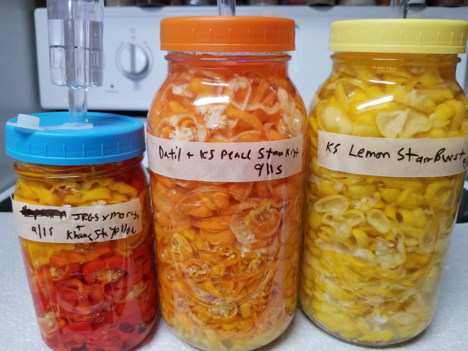 JILLMO Stainless Steel Fermentation Lids for Wide Mouth Mason Jars, 4 Pack | Fermenting Lids with Airlocks and Silicone Grommets for Easy Fermentation of Pickles, Kimchi and Sauerkraut, No Jars Included customer photo 1