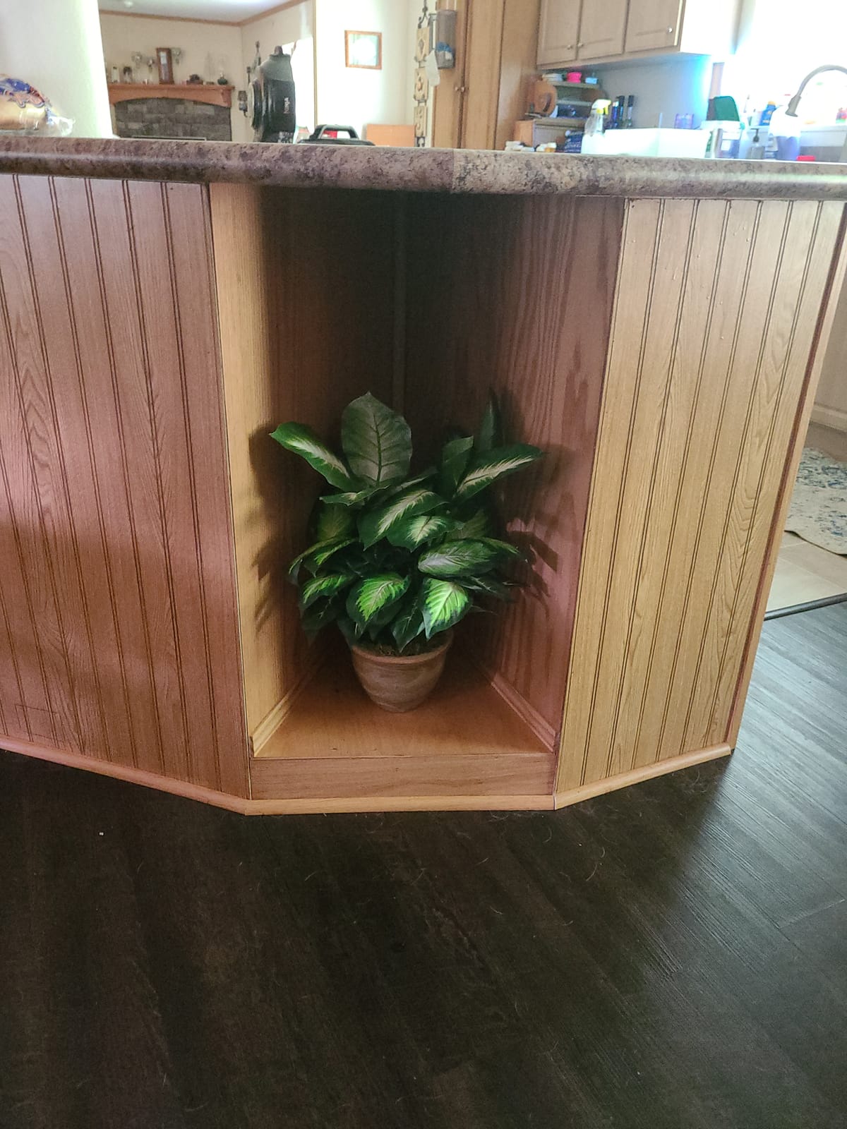 Nearly Natural 18 in Artificial Dieffenbachia Plant in Ceramic Planter | Lush Variegated Leaves, Maintenance-Free Faux Greenery, Realistic-Looking Indoor Home Decor Accent customer photo 1