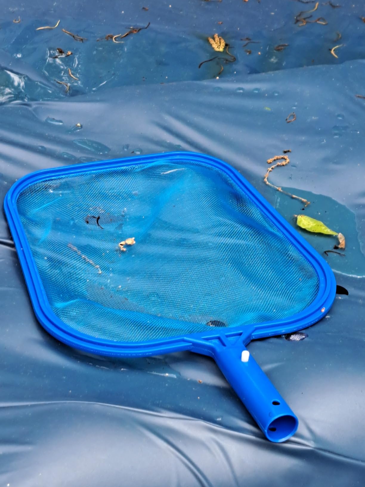 Sunnyglade 17.5x11.8in Swimming Pool Cleaner Supplies Pool Net Skimmer | Professional Heavy Duty Pool Leaf Rake Fine Mesh Frame Net/Cleaning Leaf Skim Net flat skimmer pool nets pool accessories customer photo 2