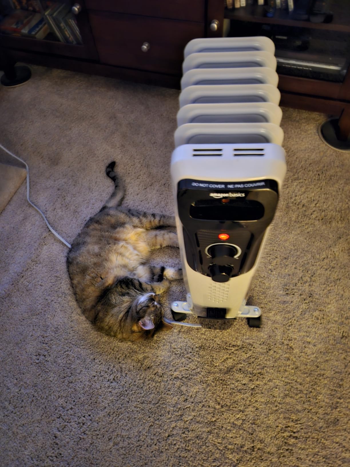 Amazon Basics Portable Oil Radiator Heater, Indoor Use, 3 Heat Settings, Over-Heat Protection, ETL-certified Safety, 7 Oil-Filled Steel Fins, 1500W, Tip-Over Protection, White customer photo 2