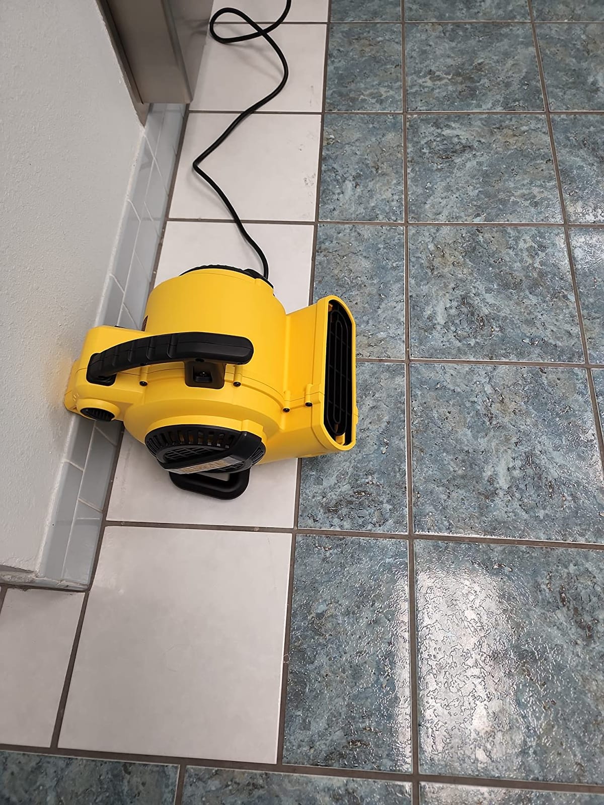 DEWALT Portable Air Mover, 276W 3 Speed Floor Fan, Utility Blower Fan | 1/5 HP 600 CFM Floor Dryer, 11 lbs Carpet Dryer, Floor Fan, for Janitorial, Home, Commercial Use, DXAM-2260 customer photo 1
