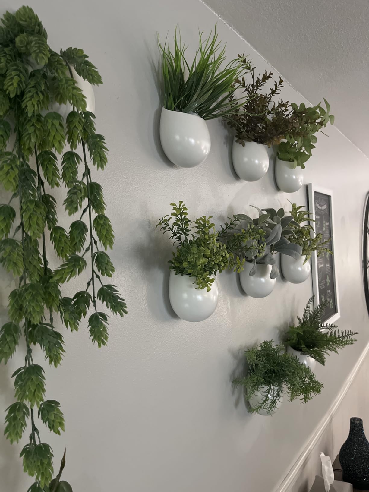 Mkono Ceramic Wall Planter for Indoor Plants 4 Inch Hanging Pot, Set of 3 | Succulents Air Plant Holder, White Round Flower Vase, Home Office Wall Mounted Decor customer photo 1