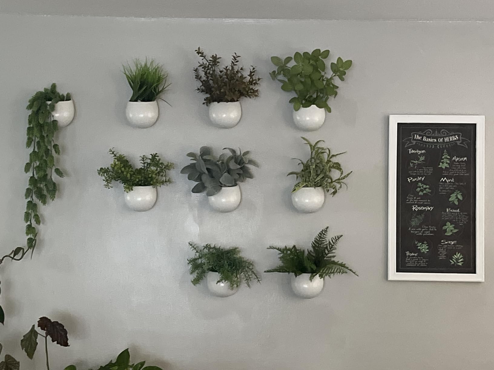 Mkono Ceramic Wall Planter for Indoor Plants 4 Inch Hanging Pot, Set of 3 | Succulents Air Plant Holder, White Round Flower Vase, Home Office Wall Mounted Decor customer photo 2