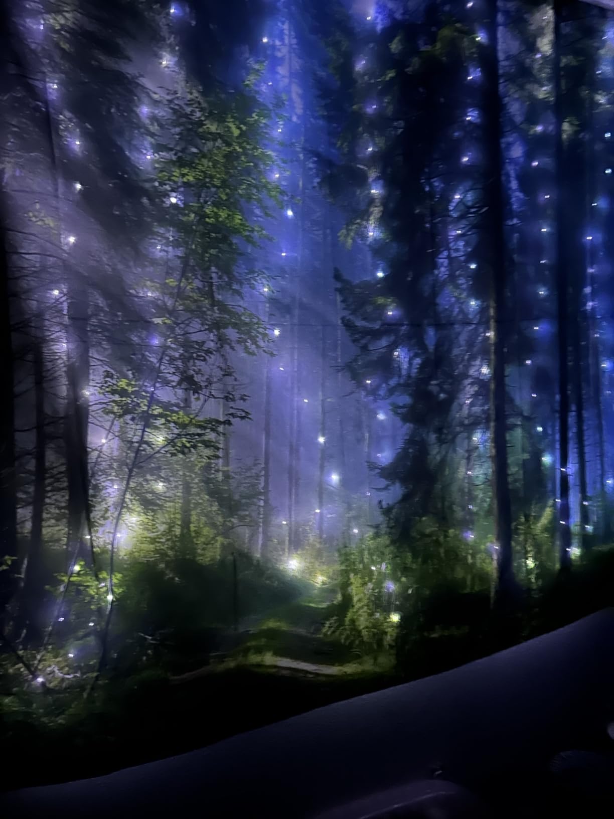 Llamazing Forest Tapestry Home Decor Landscape Living Room Bedroom Decoration Magic Tapestry Curtain (Morning Forest, 78''L×60''W) customer photo 1