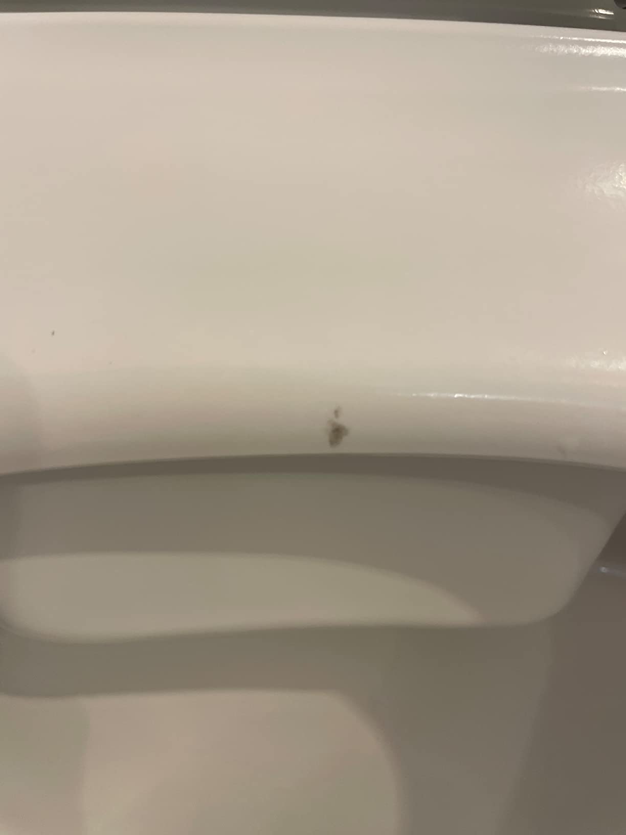 Ivy Wall-Hung Elongated Toilet Bowl customer photo 1