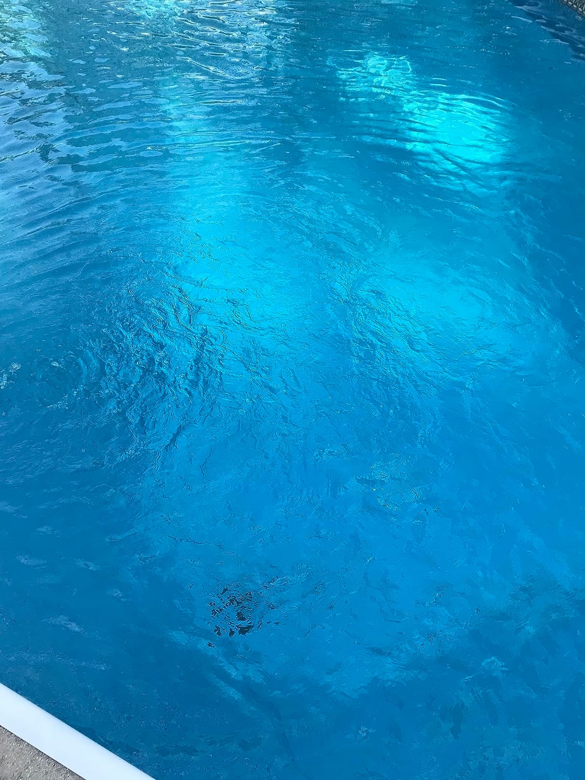Hayward W3DE3620 ProGrid Diatomaceous Earth DE Pool Filter for In-Ground Pools, 36 Sq. Ft. customer photo 2