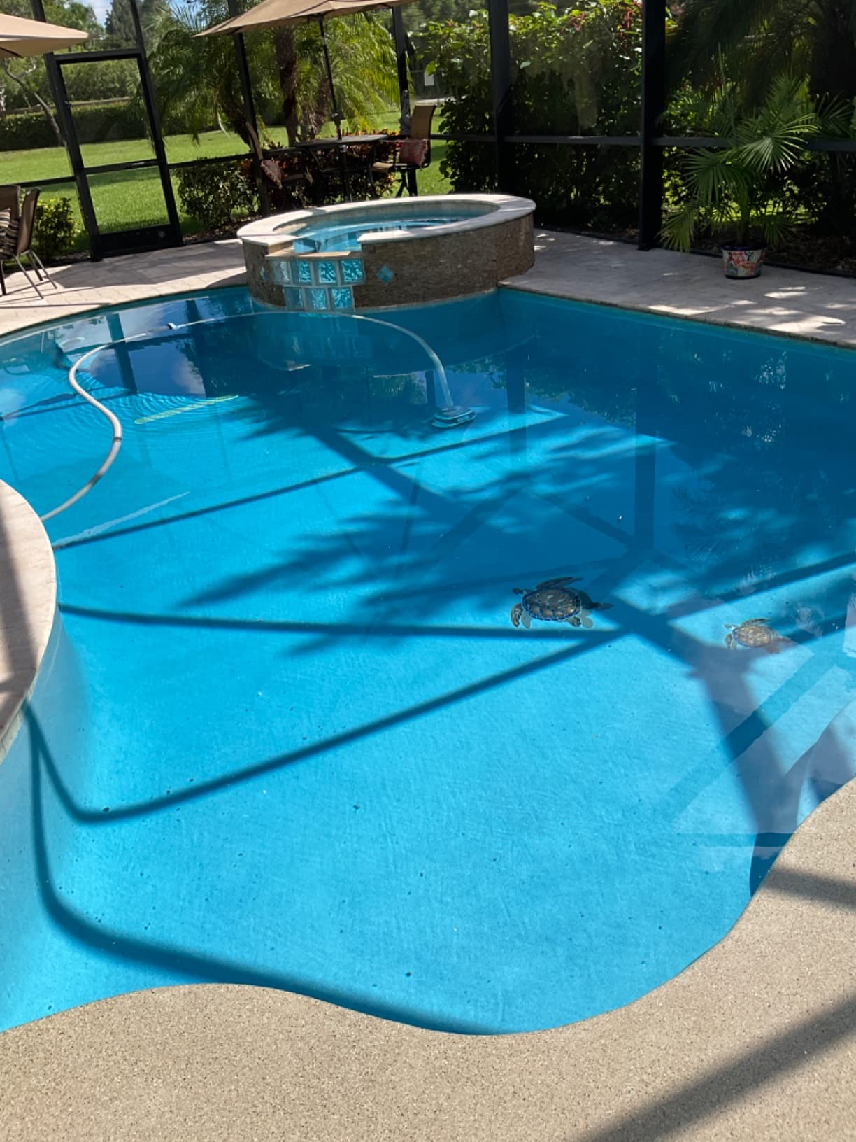 Hayward PoolVac XL Suction Pool Cleaner for Inground Pools up to 20 x 40 ft | W32025ADC Gunite Pool Cleaner Automatic Pool Vacuum for In-Ground Pools | Easy to Connect Pool Cleaning Tool for Gunite Pools customer photo 2