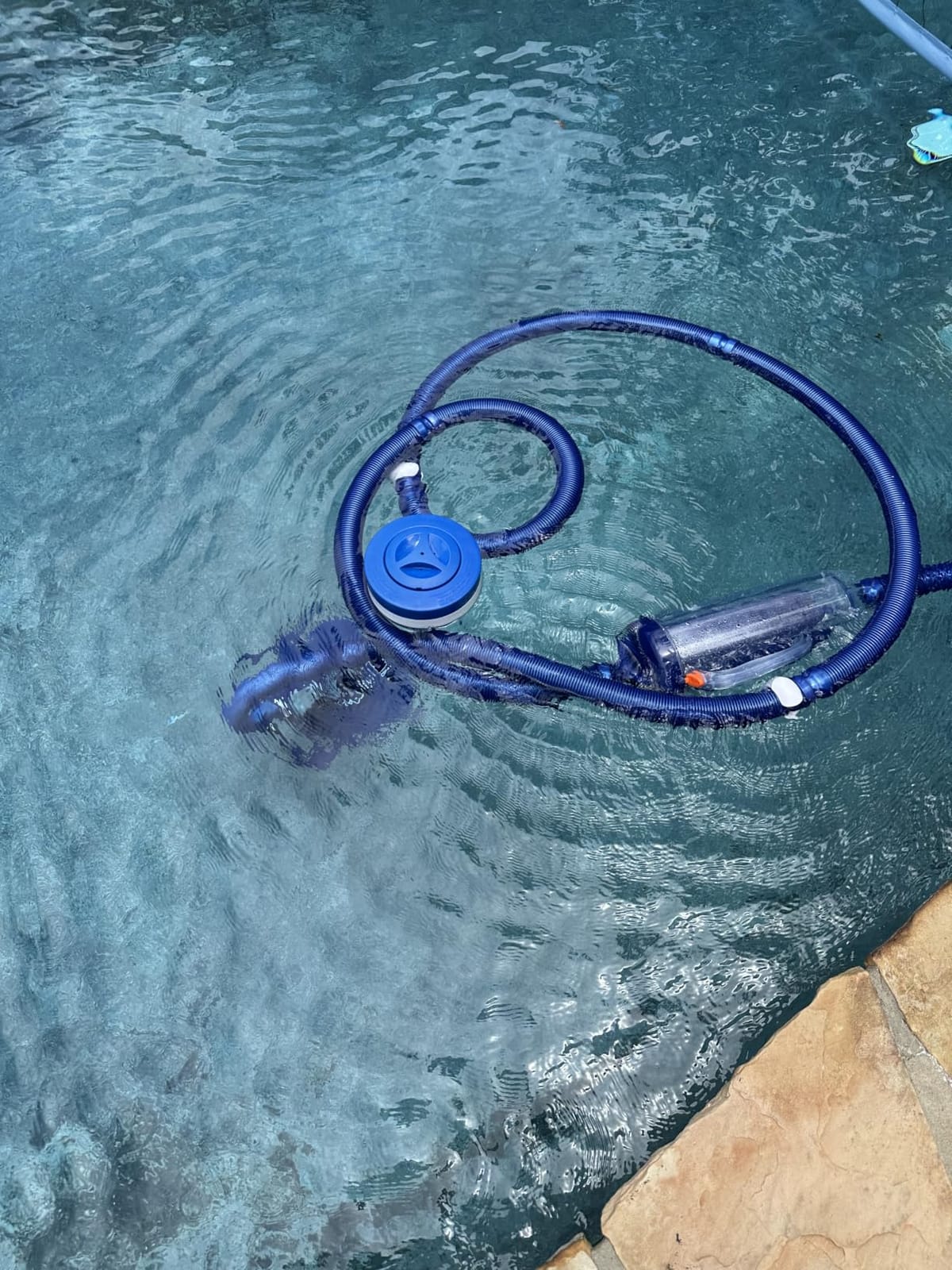 VINGLI Pool Cleaner, Automatic Wall-Climbing Pool Vacuum - Navy Blue & White | Pool Creepy Crawler Vacuum with 33FT Hoses, Suction Pool Cleaner for inground pools, Requires ≥3/4HP pump customer photo 1