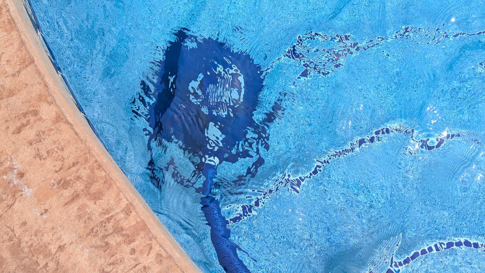 VINGLI Pool Cleaner, Automatic Wall-Climbing Pool Vacuum - Navy Blue & White | Pool Creepy Crawler Vacuum with 33FT Hoses, Suction Pool Cleaner for inground pools, Requires ≥3/4HP pump customer photo 2