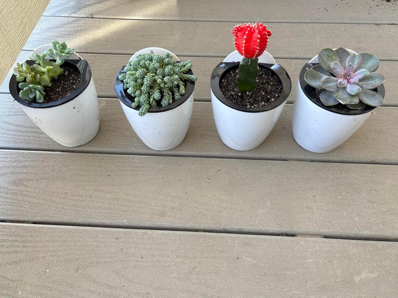MyGift 7.5 Inch Wall Planters for Indoor Plants, White Plastic Hanging Self Watering Plant Pots, Flower Cactus Herbs Plant Container Wall Planter Set of 4 customer photo 1