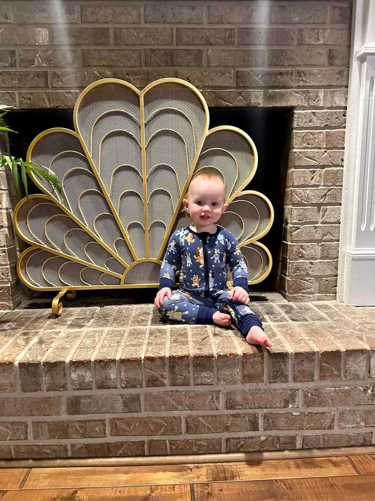 MyGift 38x32 Inch Peacock Feather Brass Tone Fireplace Screen, Spark Guard customer photo 1