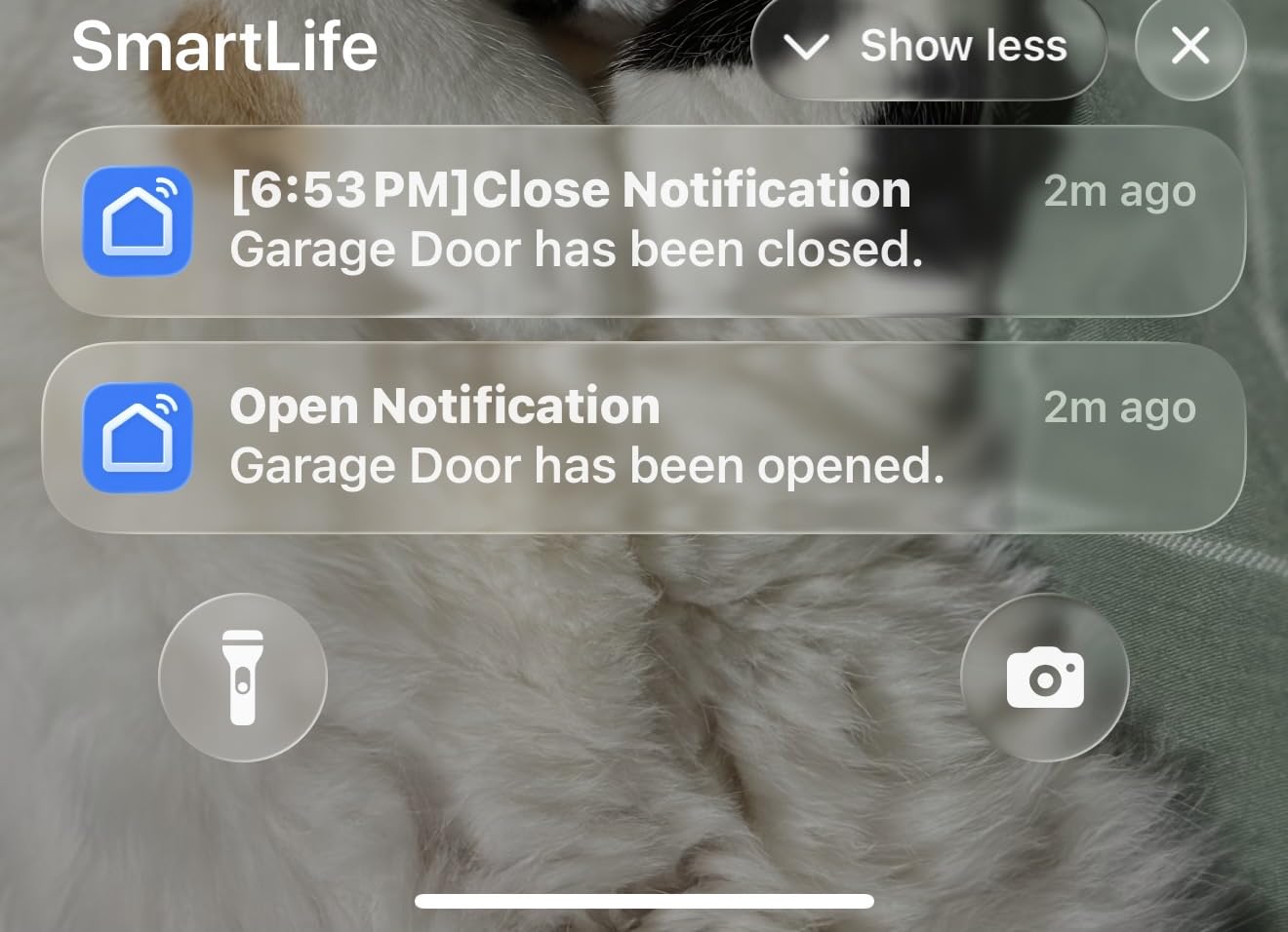 eKyro Smart Garage Door Opener - Universal WiFi Remote Controller Compatible with Alexa, Google Home, iPhone, Siri, Android, Door Left Open Alert, Door Security Systems, Updated Model customer photo 1