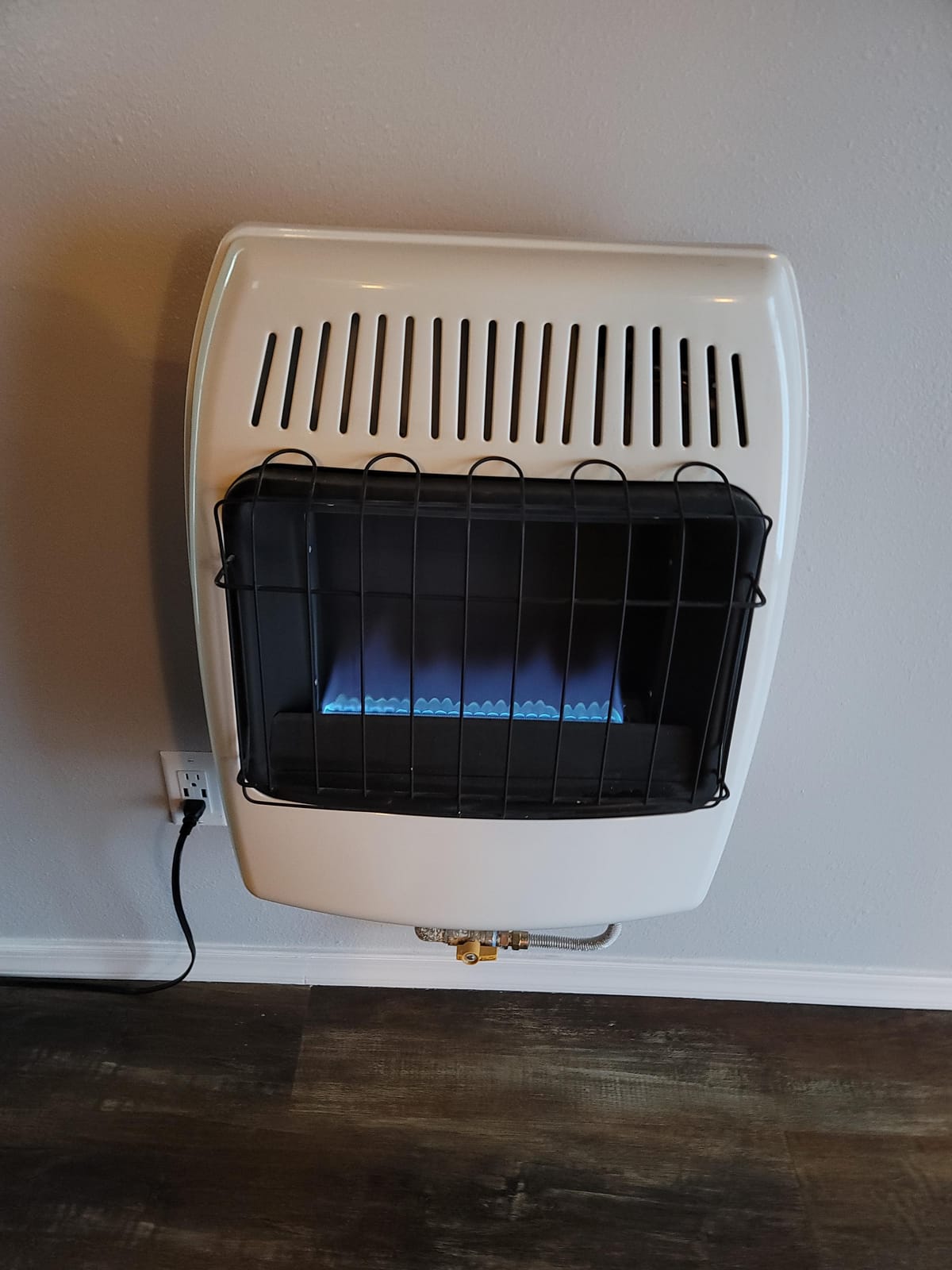 Dyna-Glo 20,000 BTU Natural Gas Blue Flame Vent Free Wall Heater customer photo 2
