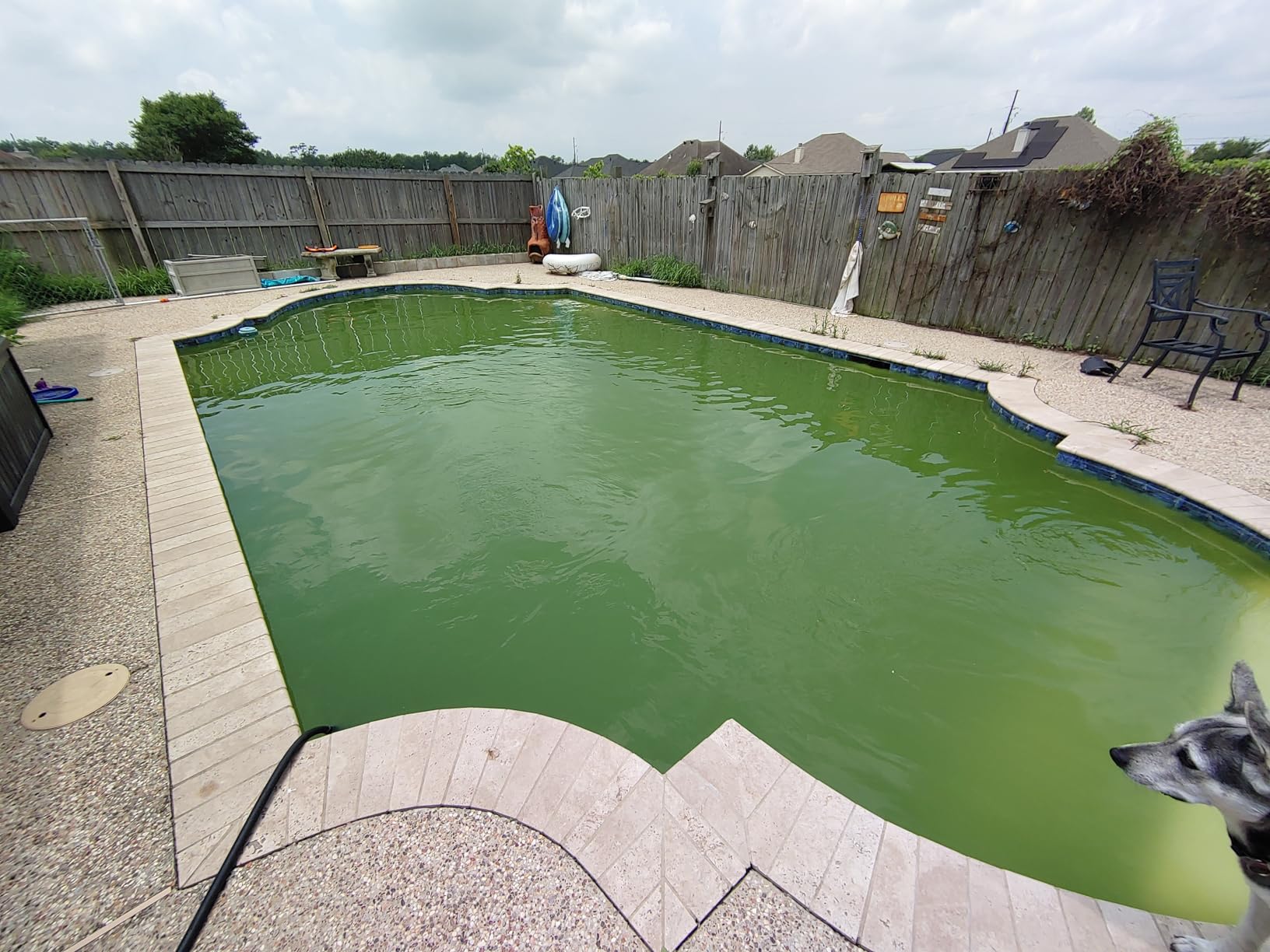 POOLPURE CCP420 Pool Filter Replaces Pentair Clean and Clear Plus 420 4Pack customer photo 1