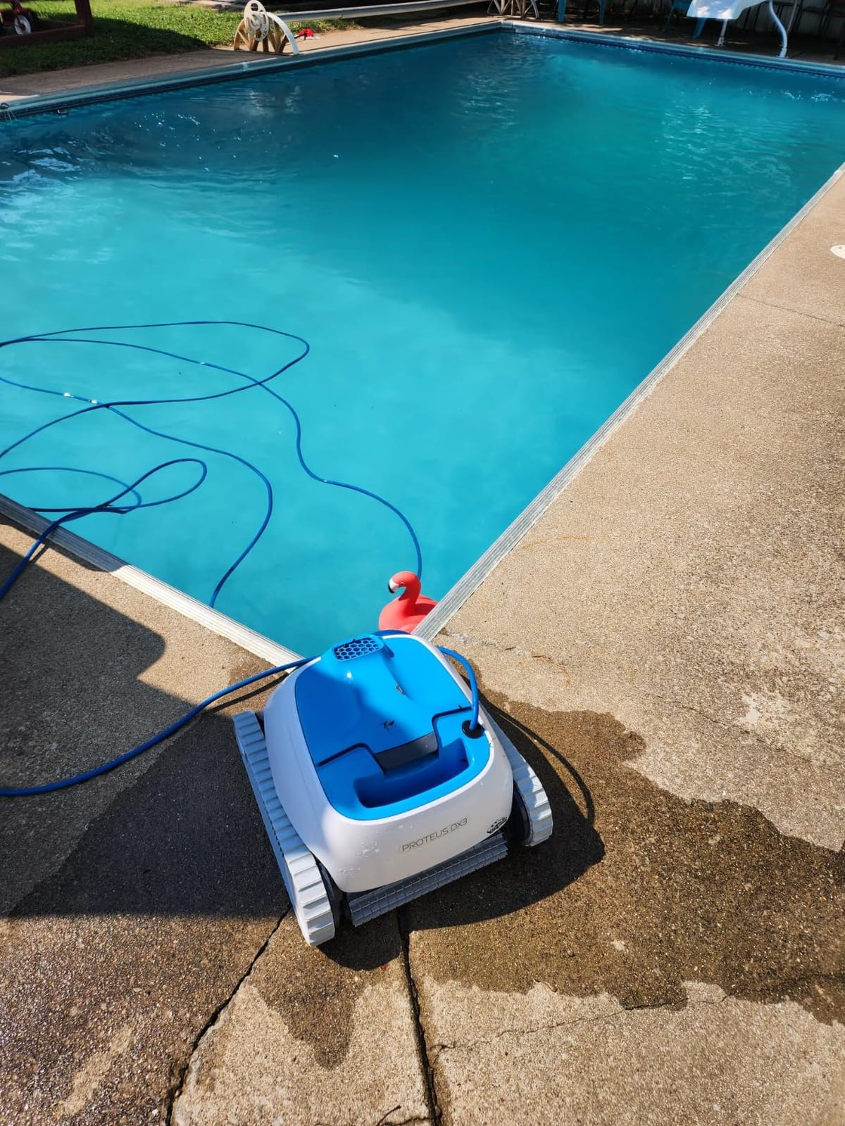 Proteus DX3 Automatic Robotic Pool Vacuum Cleaner, Wall Climbing, Active Scrubber Brush, Ideal for In-ground Pools up to 33 FT in Length customer photo 1