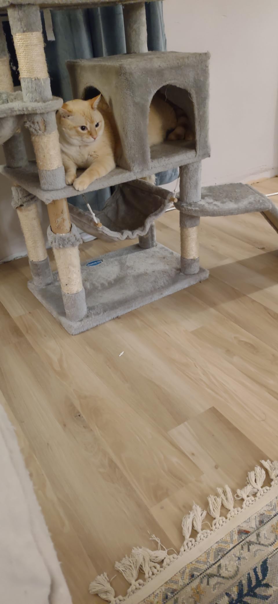 LUCiDA SURFACES Luxury Vinyl Floor Tiles-Peel & Stick Adhesive Flooring for DIY Installation-36 Wood-Look Planks-BaseCore-54 Sq. Feet customer photo 1