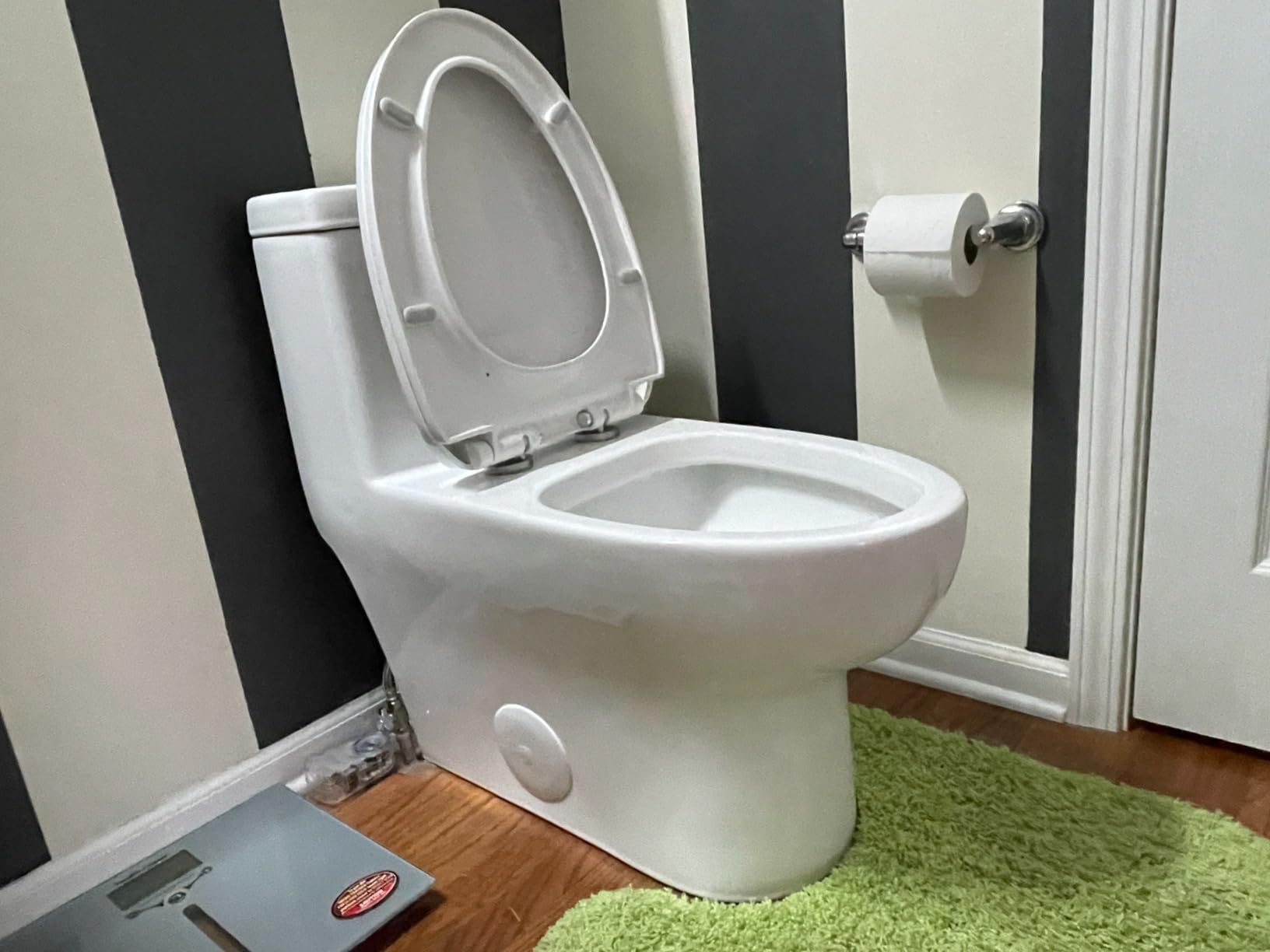DeerValley Elongated One Piece Toilet with Efficient Dual Flush 1.1/1.6 GPF customer photo 2