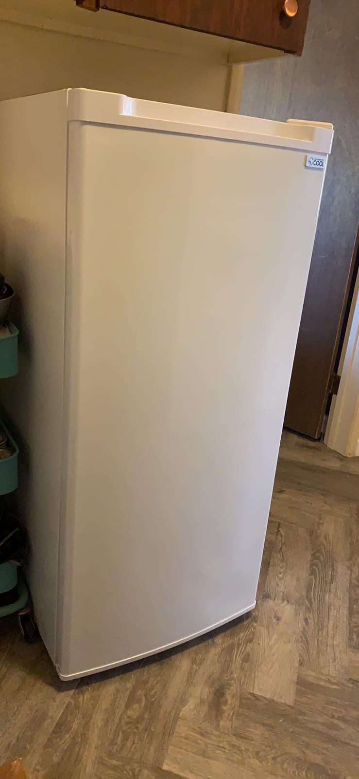 Commercial Cool Upright Freezer, Stand Up Freezer 5 Cu Ft with Reversible Door, White customer photo 2