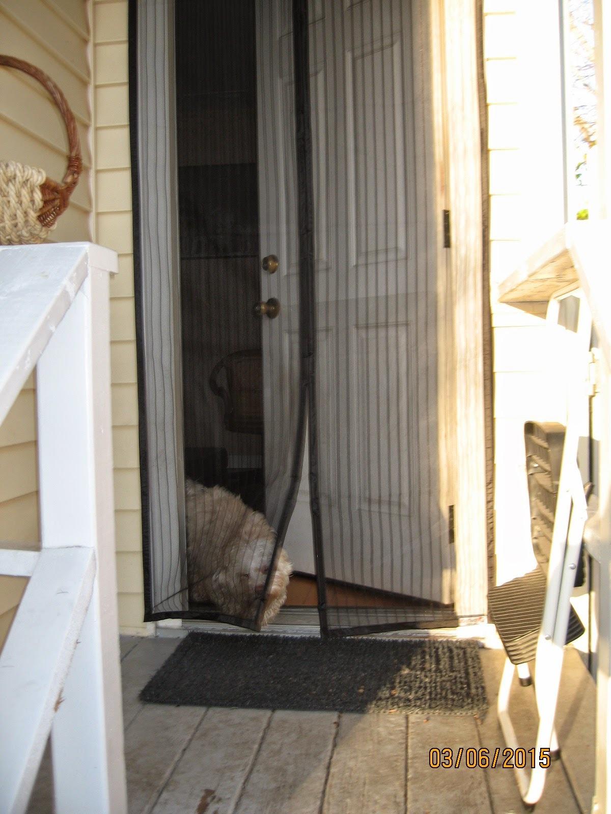 UnBugs Garage Screen Doors for 2 Car Garage - Fits Double Garage Doors up to 16 Feet Wide x 7 Feet Tall MAX - Pet & Kid Friendly, Self-Closing - Hands Free Magnet Closure Keeps Bugs Out & Breeze in customer photo 2