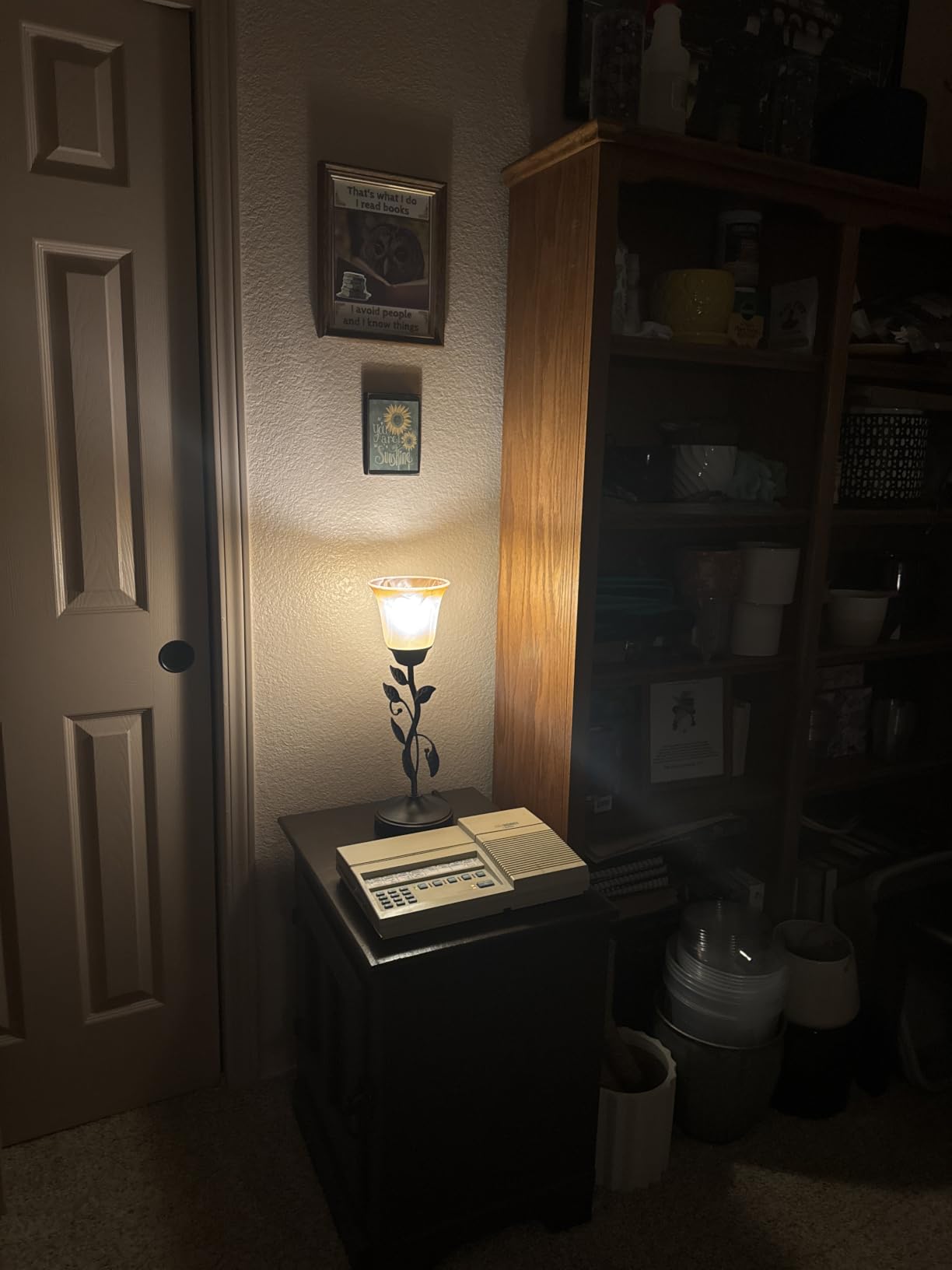Touch Control Leaf Vintage Table Lamp with 3-Way Dimmable 2 USB C+A Ports | Bedside Nightstand Lamps, Amber Glass Shade Rural Leaf Lamp for Living Room Bedroom Dresser Home Decor, LED Bulb Included customer photo 2