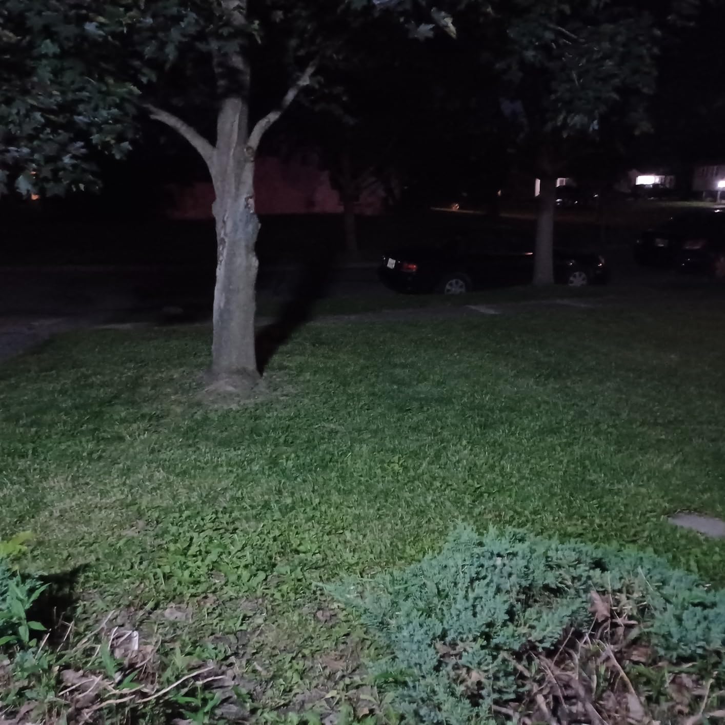 Tuffenough Solar Outdoor Lights 2500LM 210 LED Security Lights with Remote Control, 3 Heads Motion Sensor Lights, IP65 Waterproof, 270° Wide Angle Flood Wall Lights with 3 Modes (2 Packs) customer photo 1