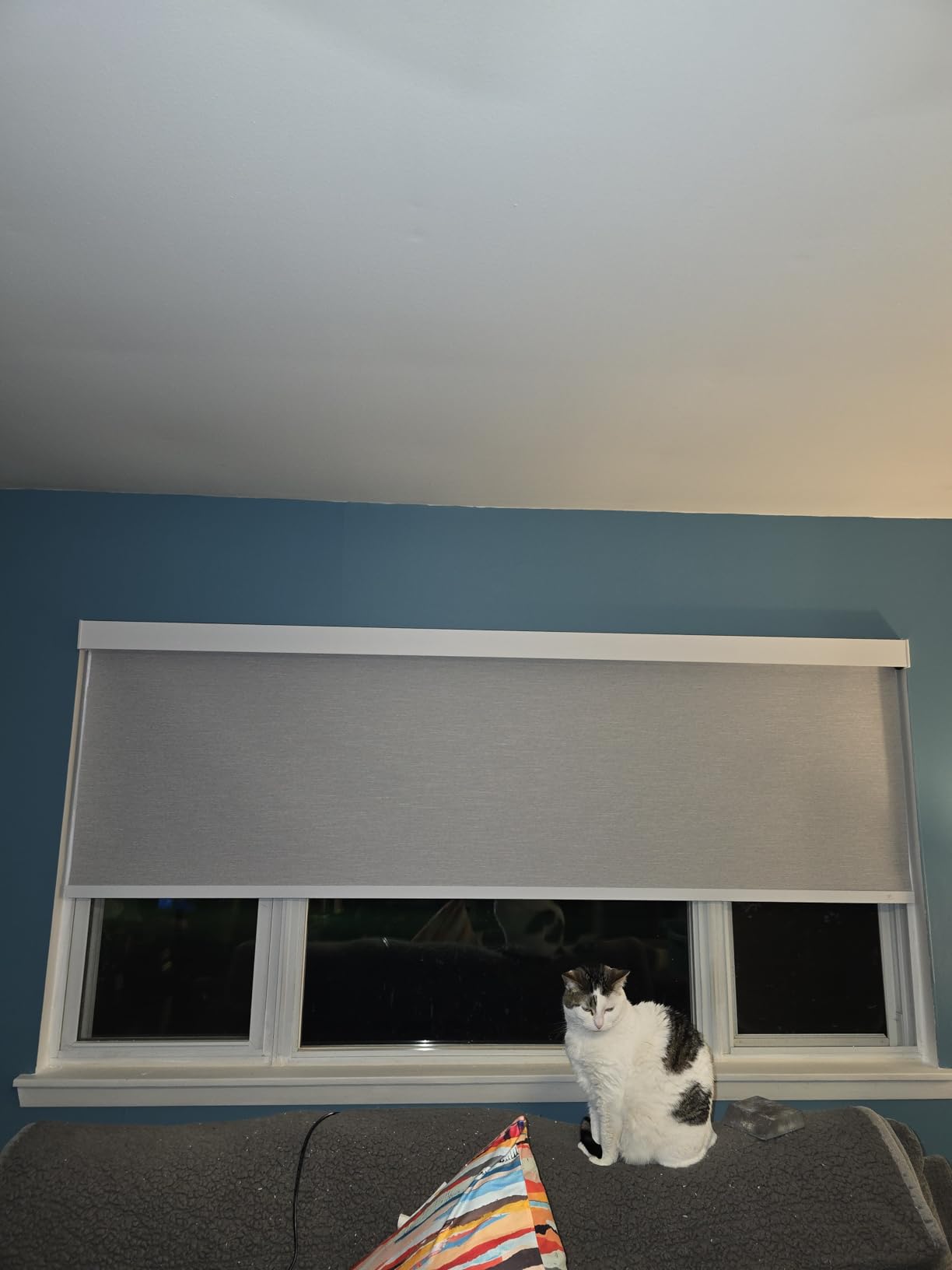 SmartWings Motorized Smart Roller Shades, 100% Blackout Essential Grey | Customized Automatic Shades for Indoor Window, Cordless Electric Blinds Compatible with Alexa/Homekit/Google customer photo 2