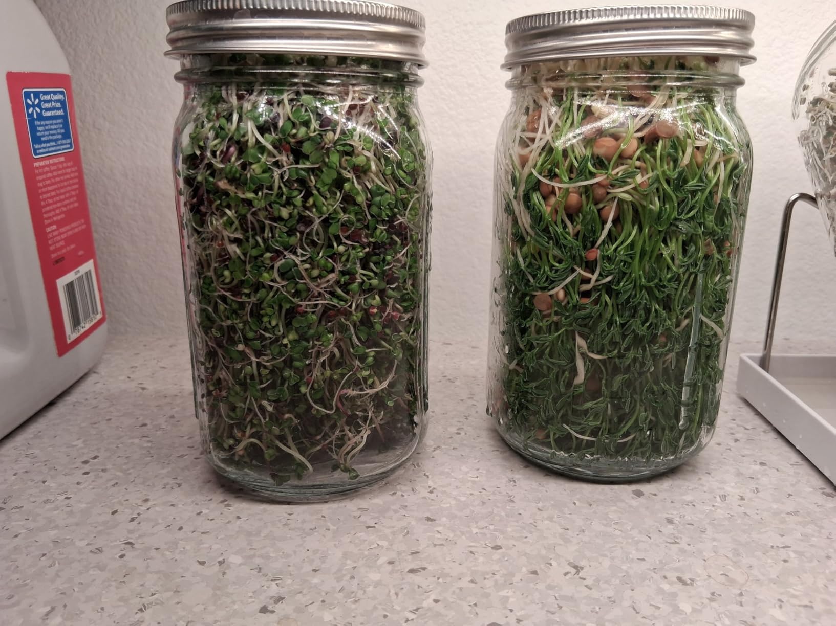 Kitmiido Seed Sprouting Kit, 2 Large Wide Mouth Mason Jars with Sprout Lids, Blackout Sleeves, Drain Tray, Stainless Steel Stand, Sprouts Growing Kit for Bean, Broccoli, Alfalfa customer photo 1