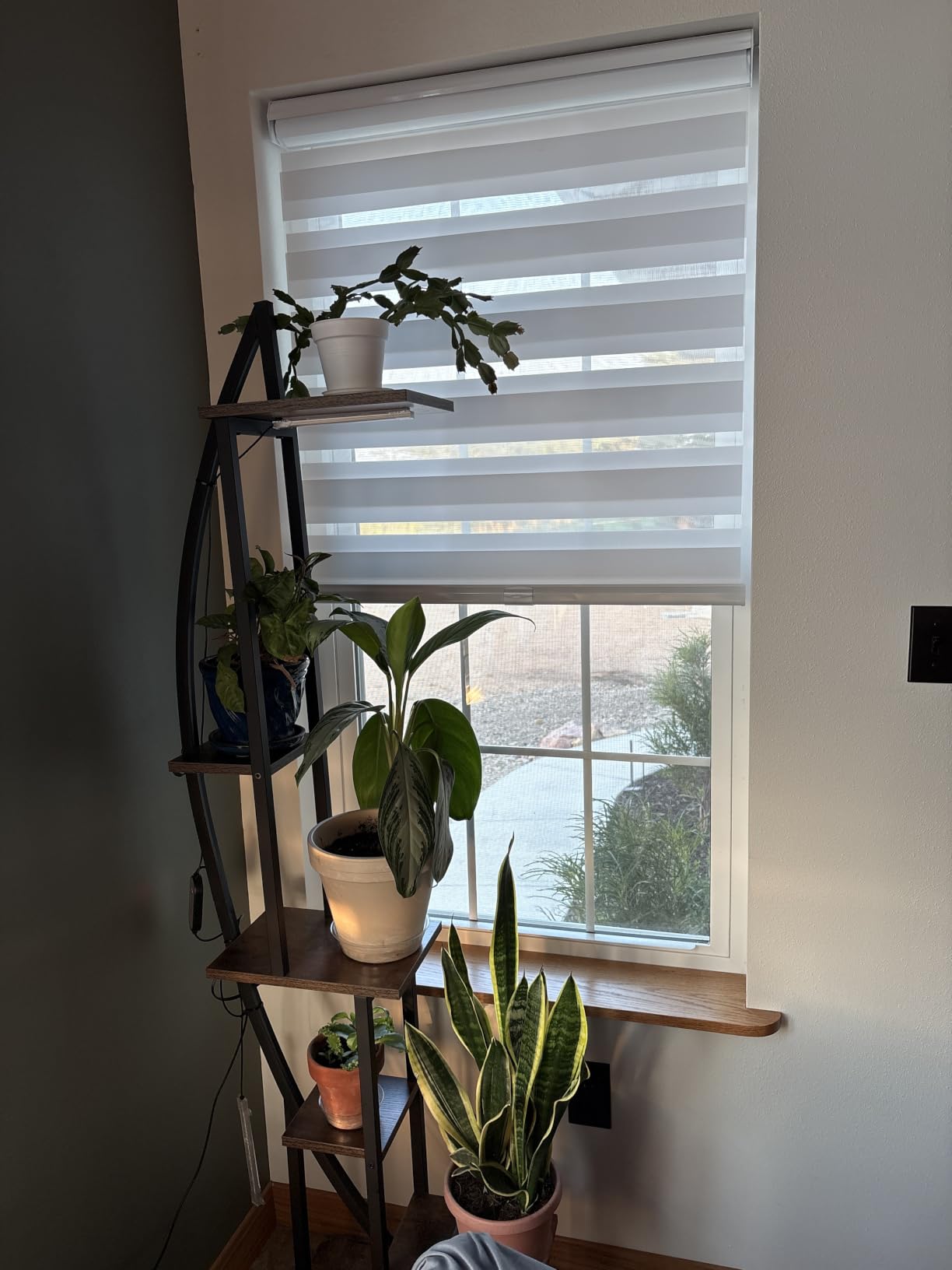 Persilux Cordless Zebra Blinds for Windows Free-Stop Window Blinds, 34
