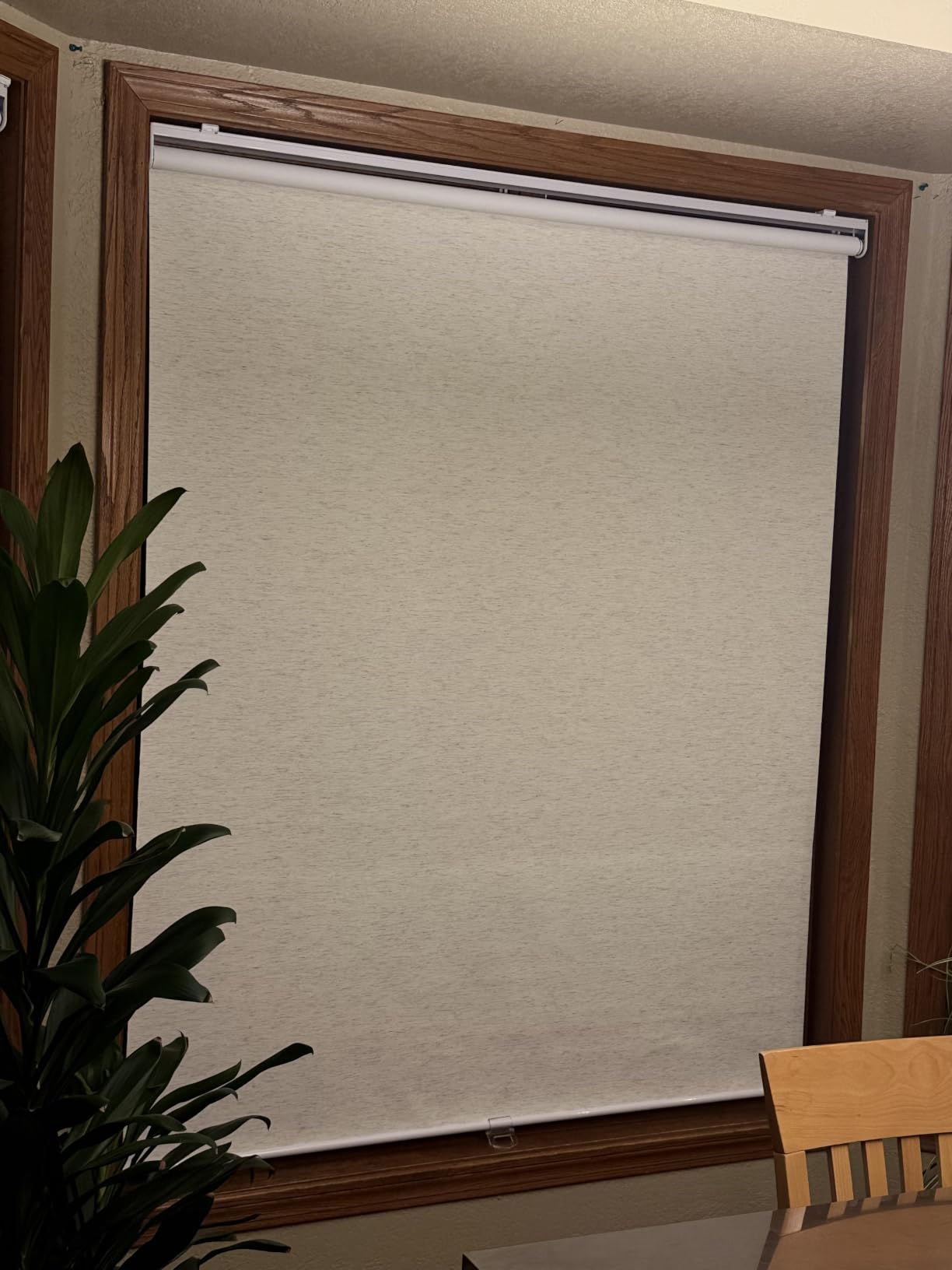 SUNOFF Blackout Cordless Roller Shades Blinds, 23