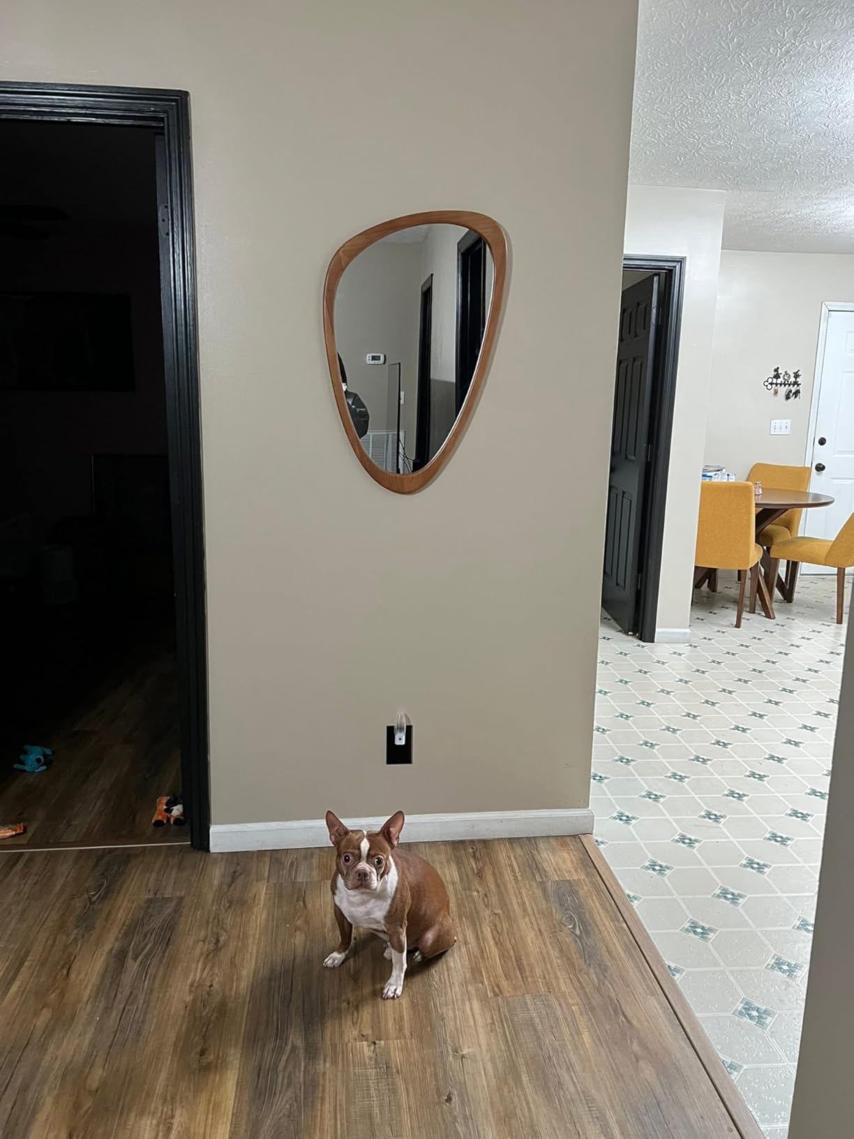 WallBeyond Asymmetrical Mirror, Irregular Mirror Full Length, Boho Wall Mirrors Decorative for Bedroom Living Room Entryway Hall, Mid Century Modern Decor 48