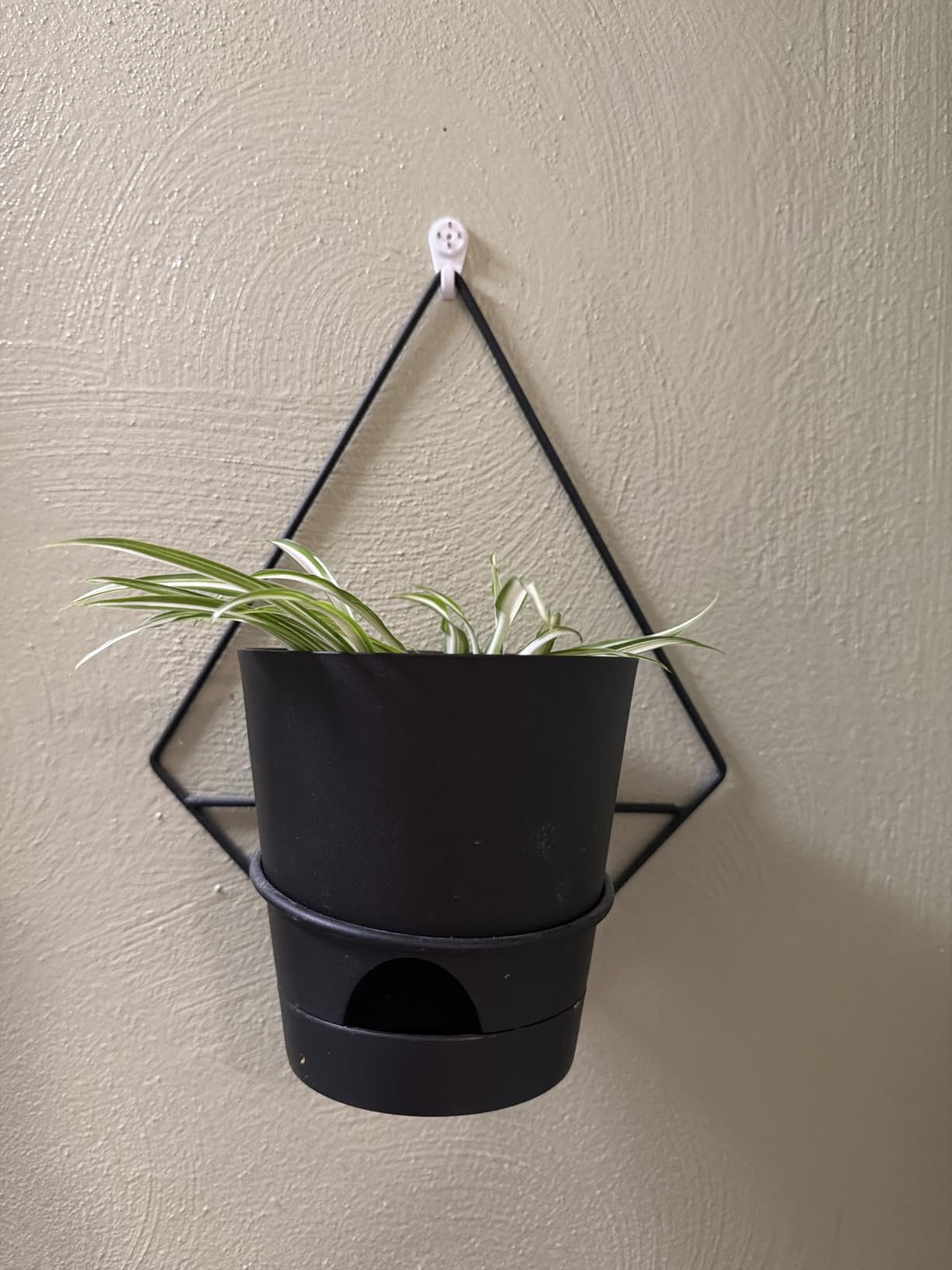 Koalaime 3 Sets Wall Planters for Indoor Plants Geometric Hanging Planters for Indoor Plants - Self-Watering Flower Pots with Black Metal Holder, Mounted Succulent Planter, 5