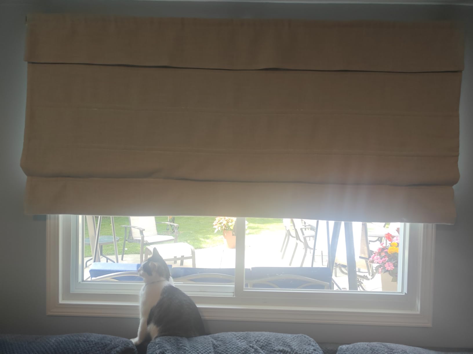 Cordless Linen Roman Shades, Natural Custom Fabric Room Darkening Roman Window Shades Blinds for Doors, French Doors, Kitchen Windows, Bathroom Windows customer photo 1