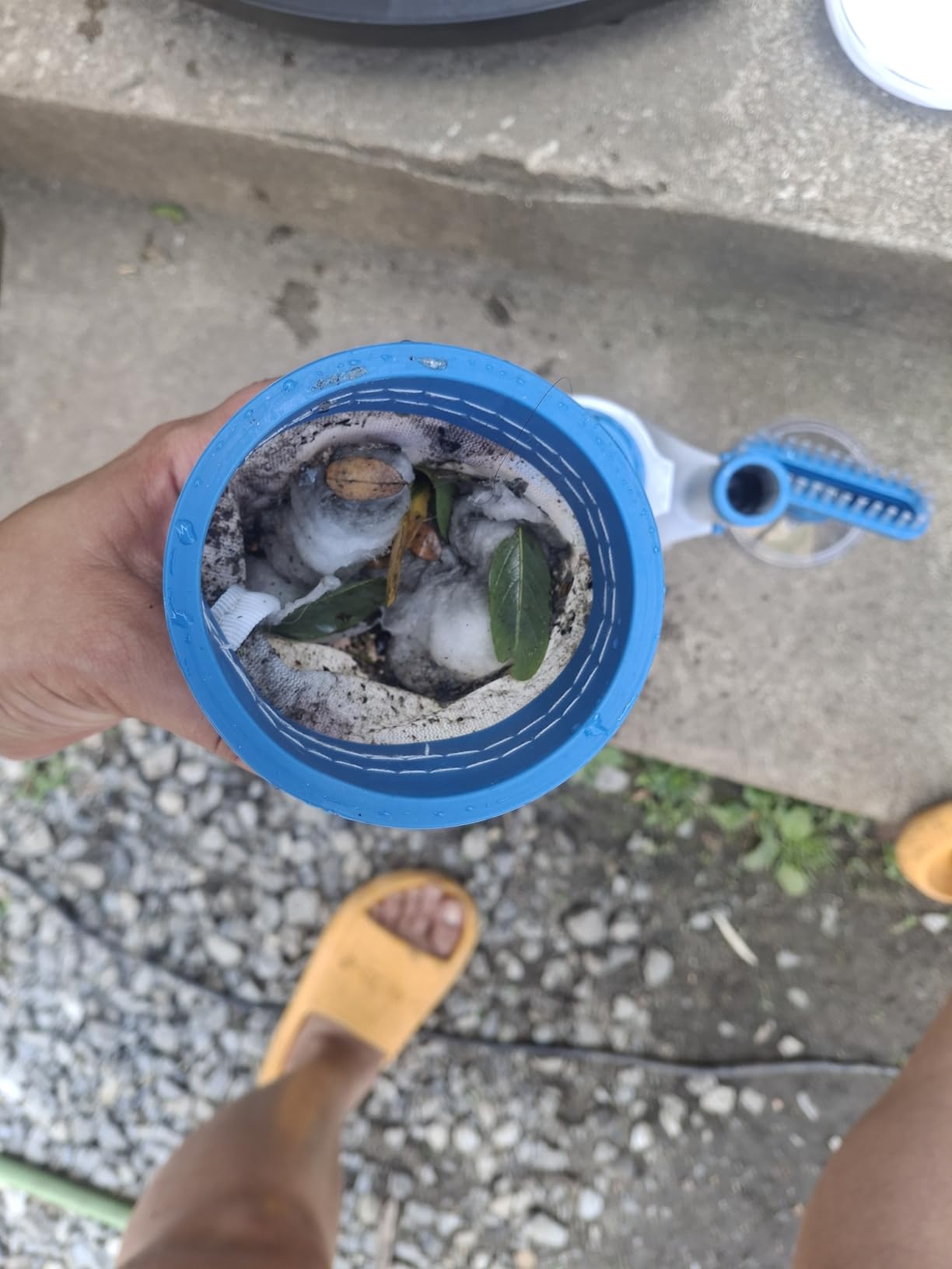 KOKIDO Cordless Handheld Pool Vacuum for Above Ground Pool, with 6ft Pole and 2 Vac Brush Heads, Ideal for Spot Cleaning Small Inground Pool Spa up to 20ft, Rechargeable, 60min, Sand and Light Debris customer photo 1